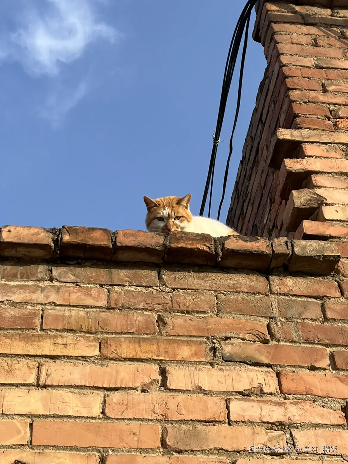 单纯_稀饭于2025-11-26 09:05发布的图片