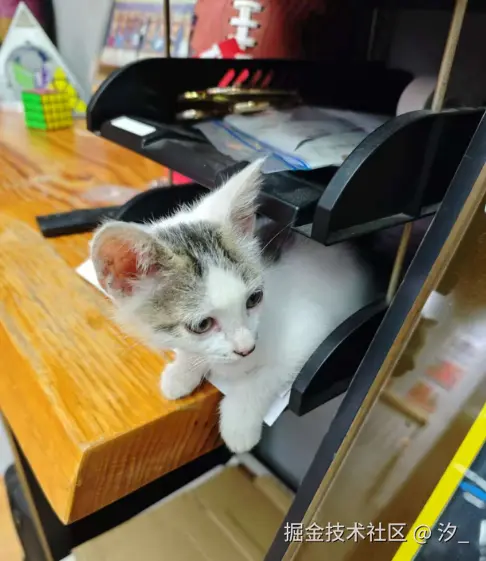 汐_于2025-06-27 12:05发布的图片