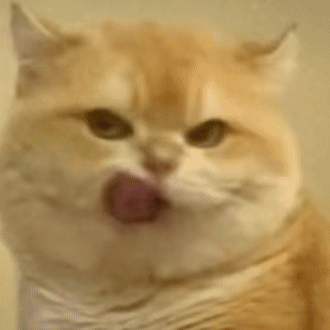 爱吃鲶鱼的猫于2025-06-06 14:31发布的图片