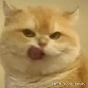 爱吃鲶鱼的猫于2025-06-06 14:31发布的图片