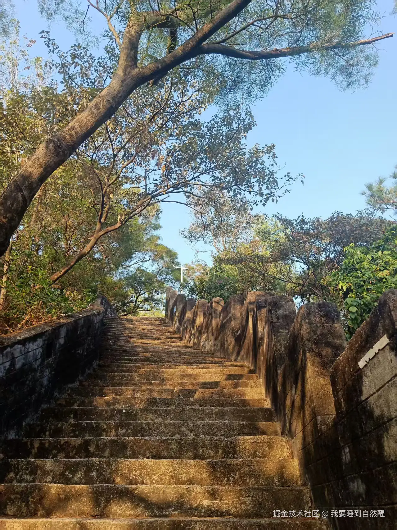 我要睡到自然醒于2025-12-08 11:05发布的图片