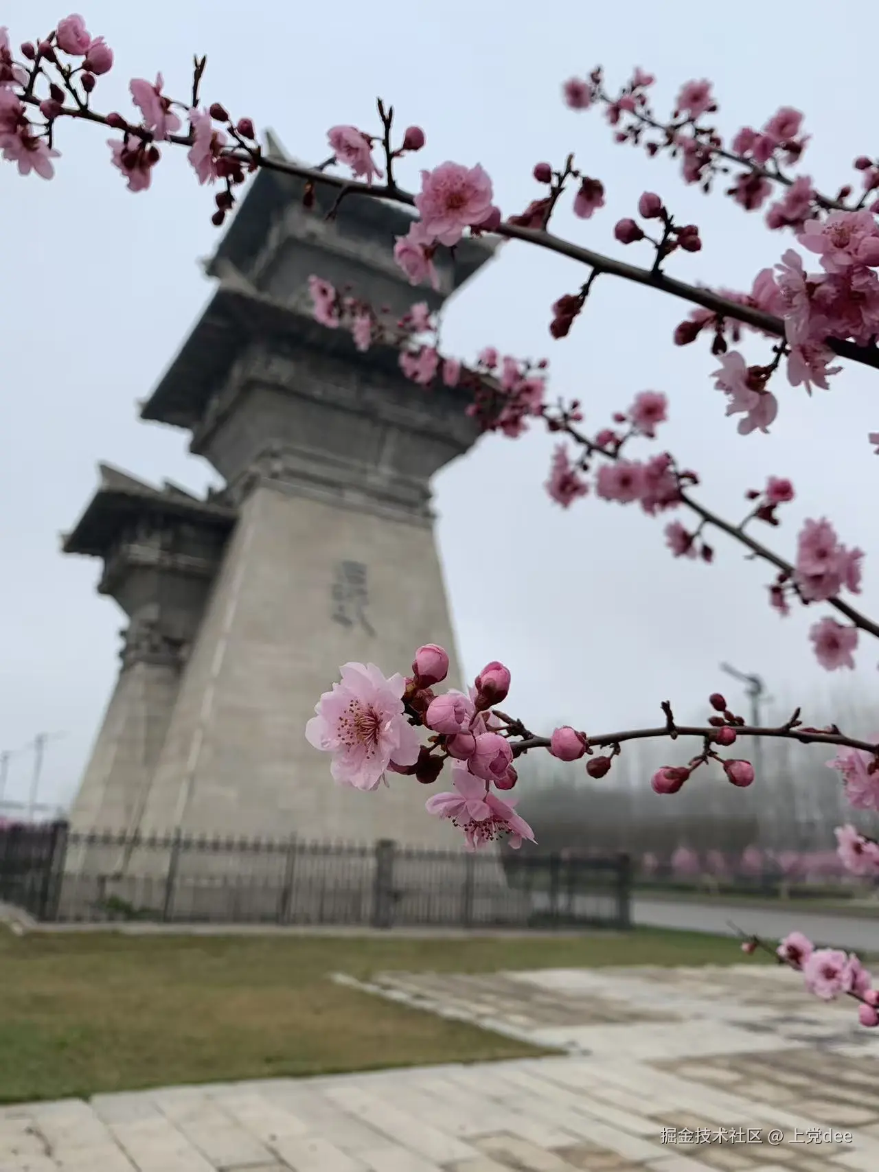 上党dee于2026-04-02 08:57发布的图片