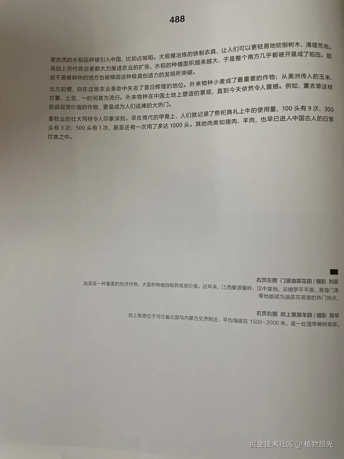 植物昂光于2026-05-01 20:43发布的图片