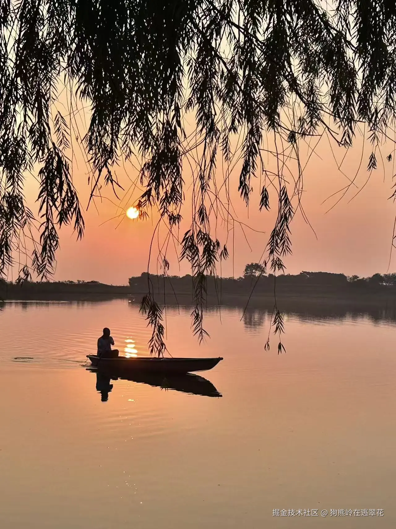 狗熊岭在逃翠花于2025-10-13 13:49发布的图片