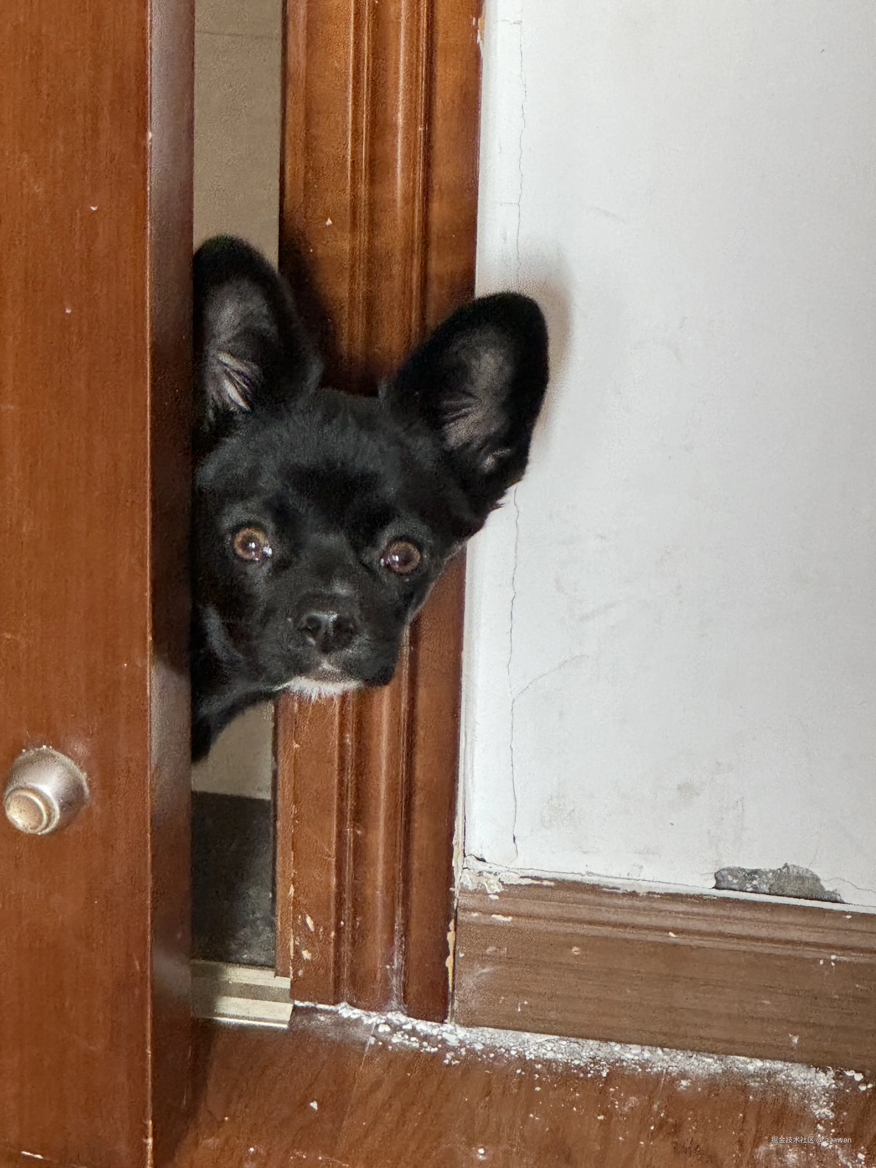 aaawen于2024-11-04 11:49发布的图片