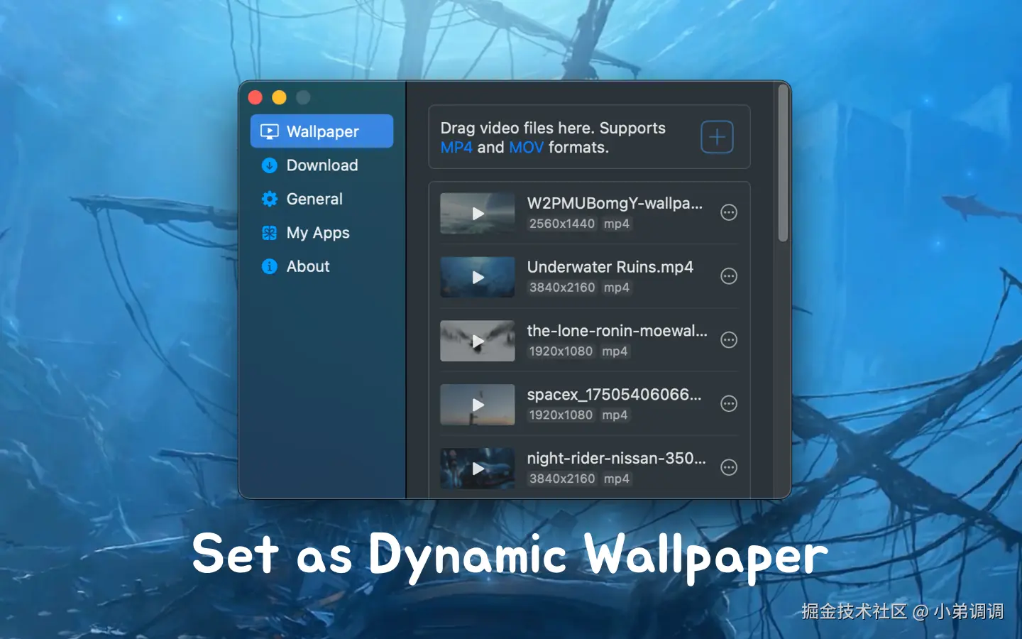 小弟调调于2025-06-25 03:27发布的图片