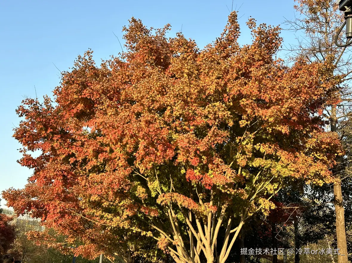 冷萃or冰美式_于2024-12-17 13:37发布的图片