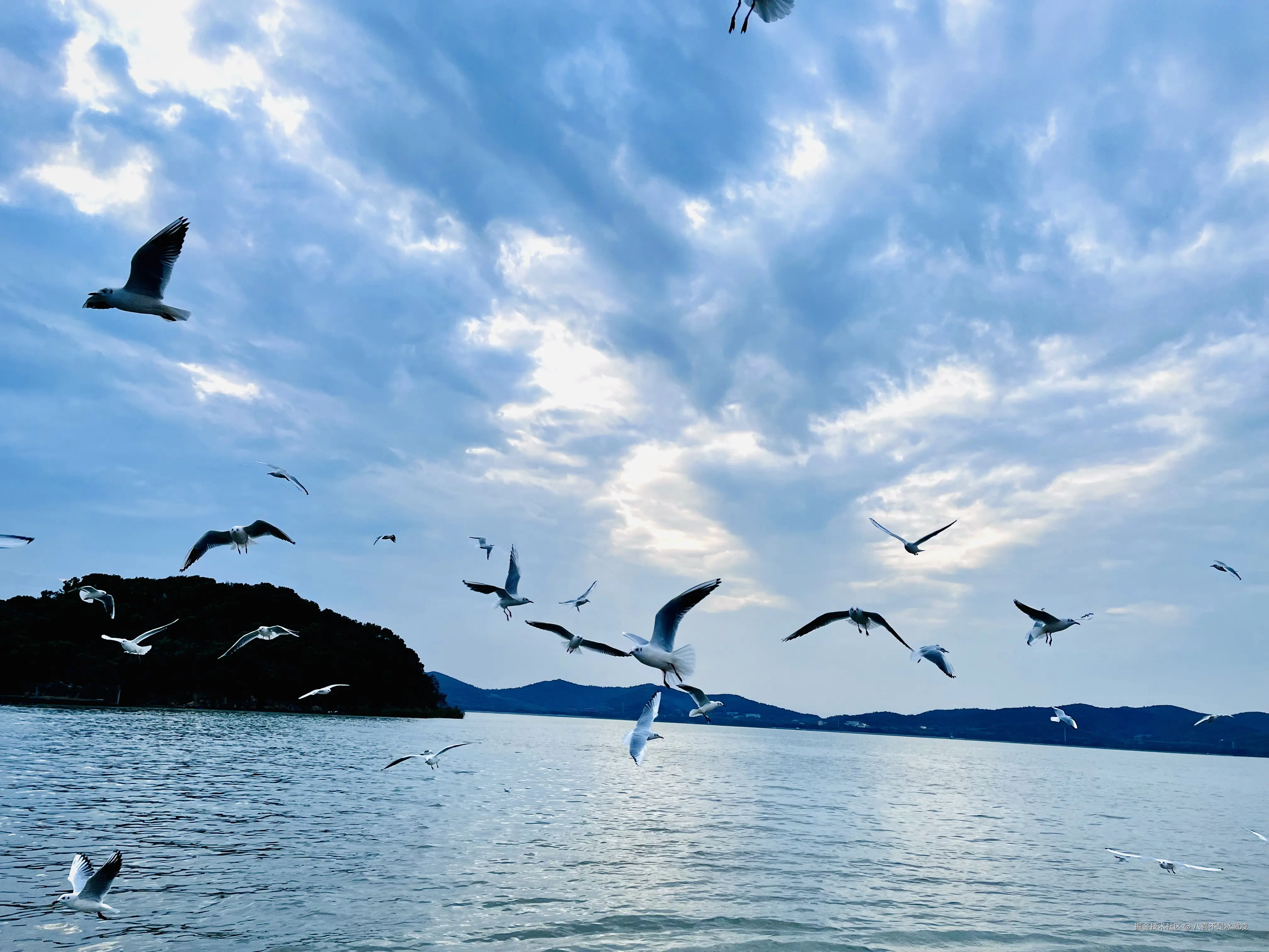 八喜不是冰激凌于2024-11-25 09:56发布的图片