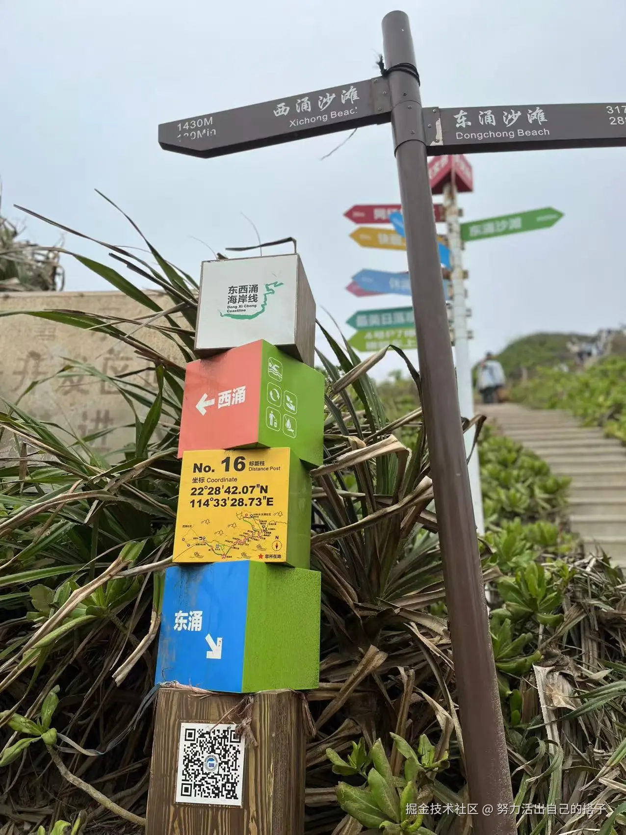 努力活出自己的搭子于2024-12-24 11:31发布的图片
