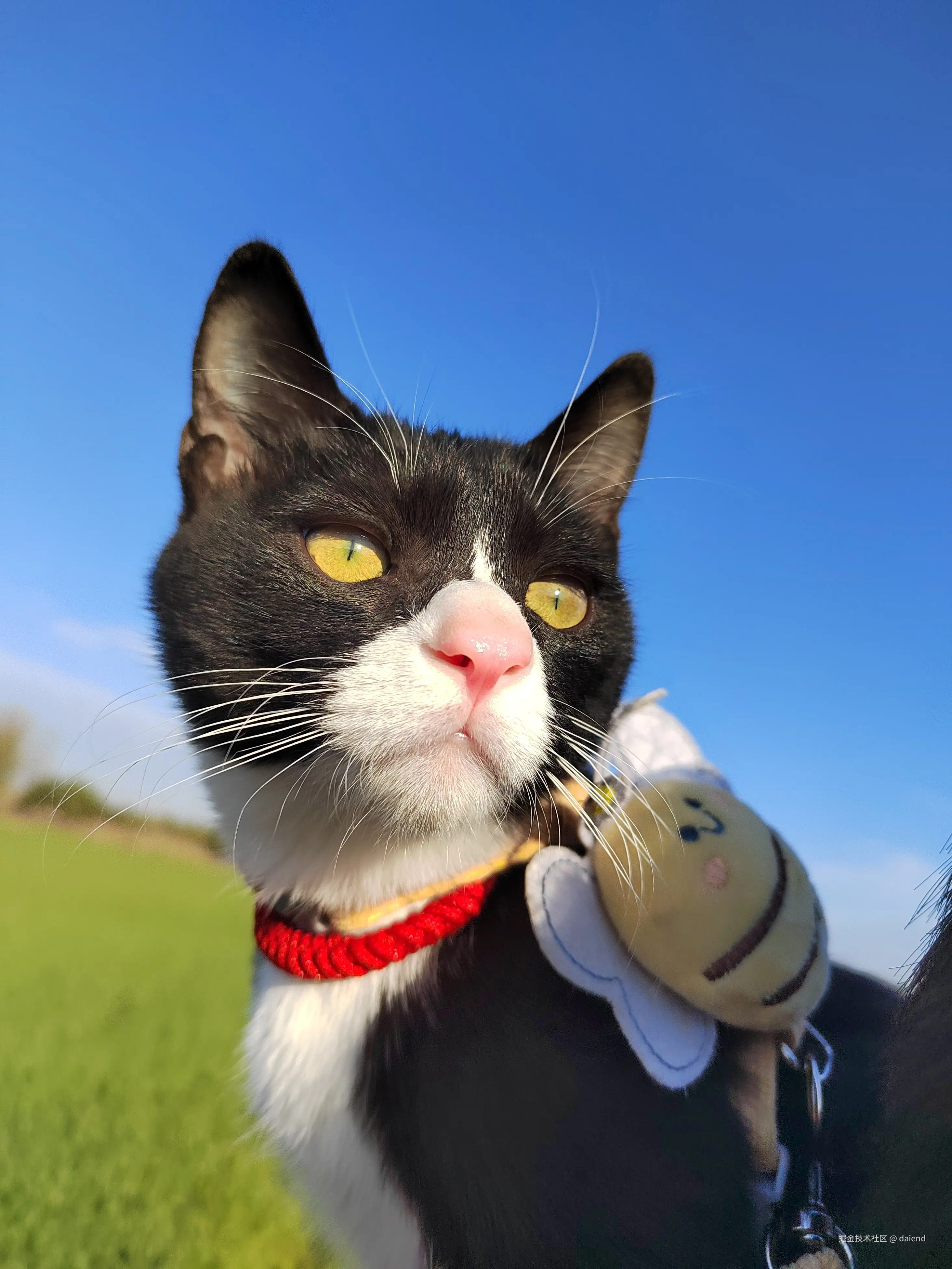 daiend于2025-03-20 09:26发布的图片