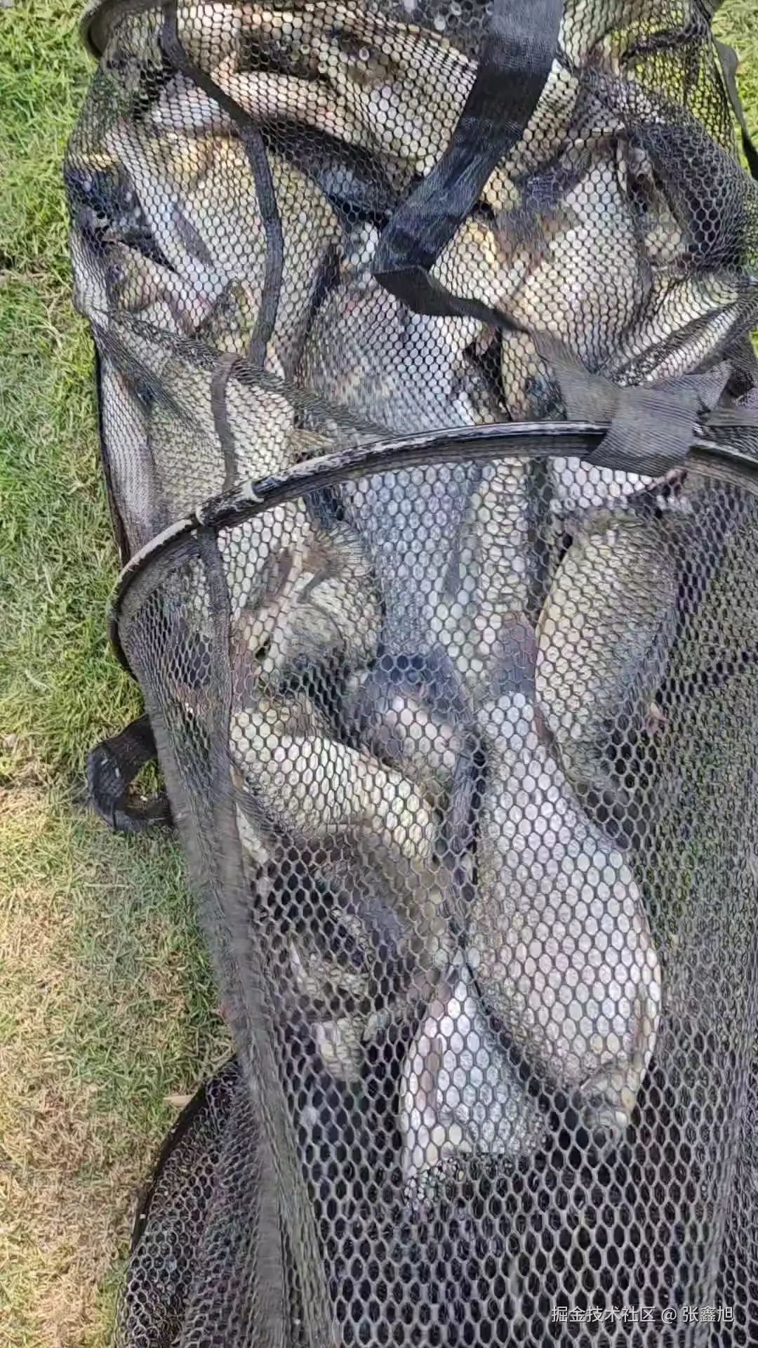 张鑫旭于2025-09-09 08:25发布的图片