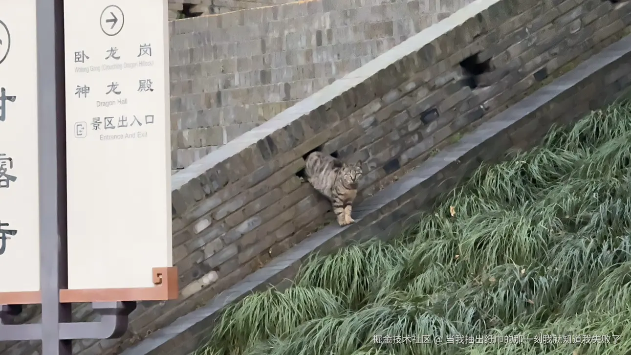 当我抽出纸巾的那一刻我就知道我失败了于2025-03-10 20:37发布的图片