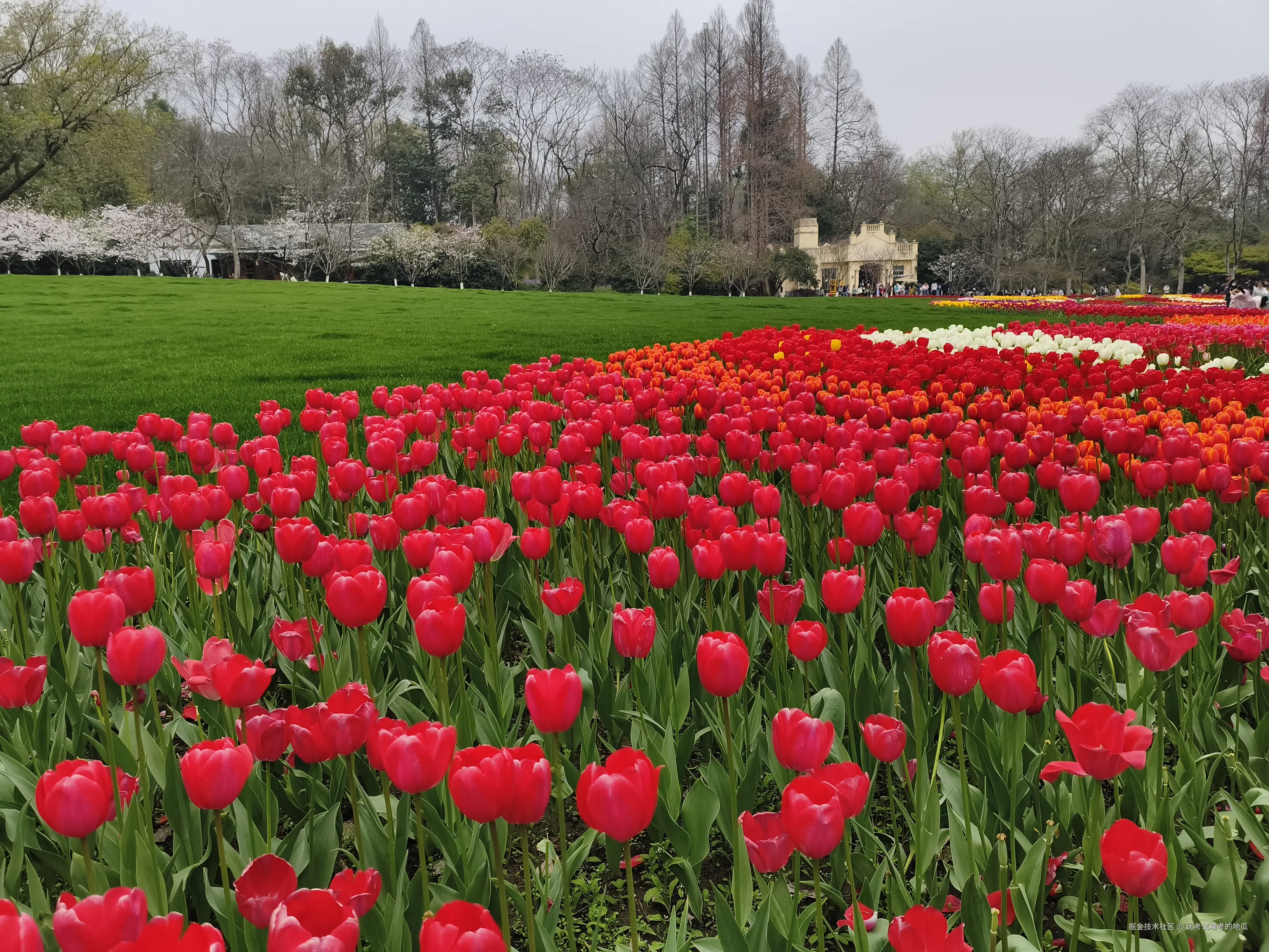 比考试难考的地瓜于2026-03-23 12:05发布的图片