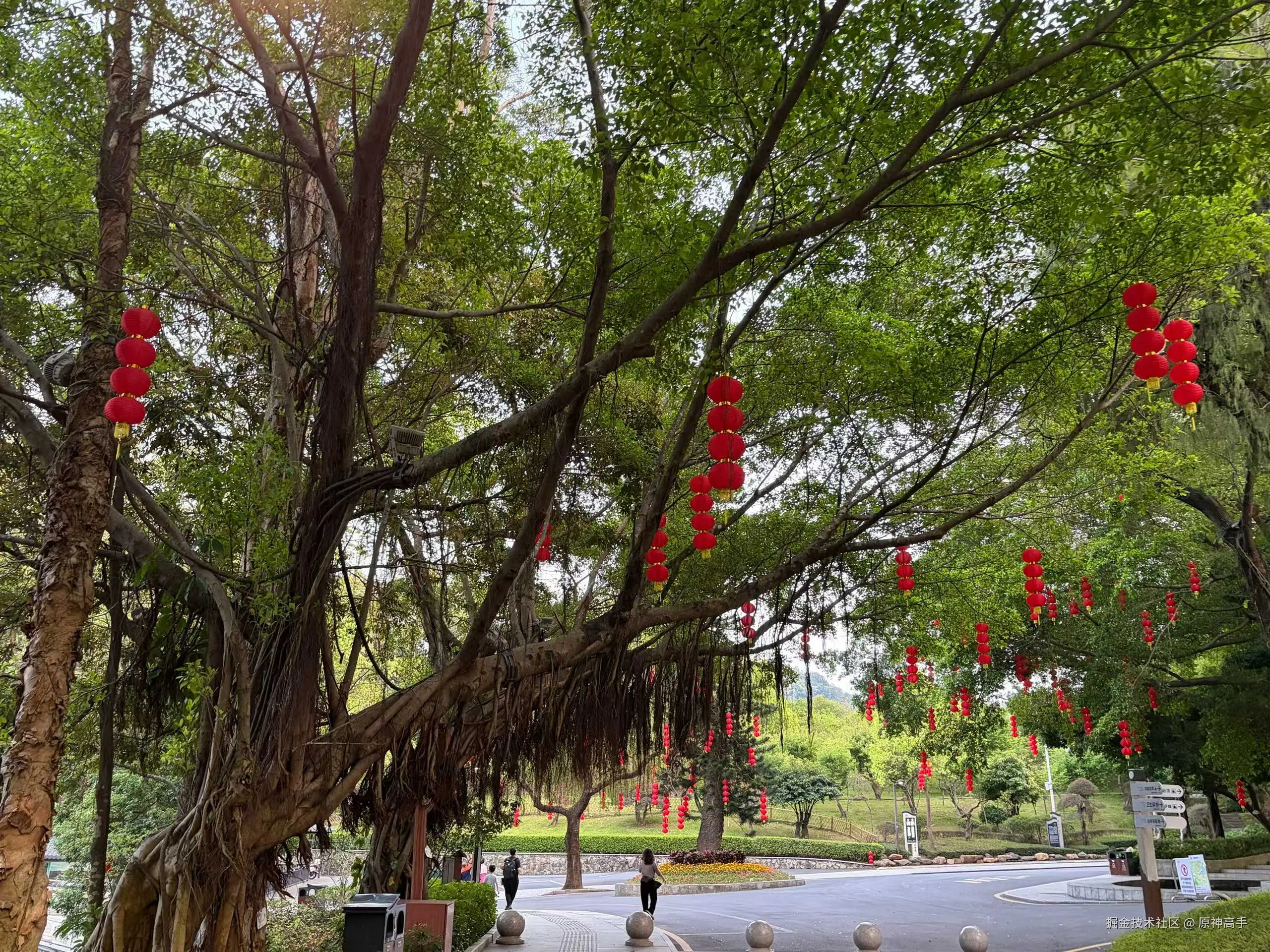 原神高手于2026-03-09 14:18发布的图片