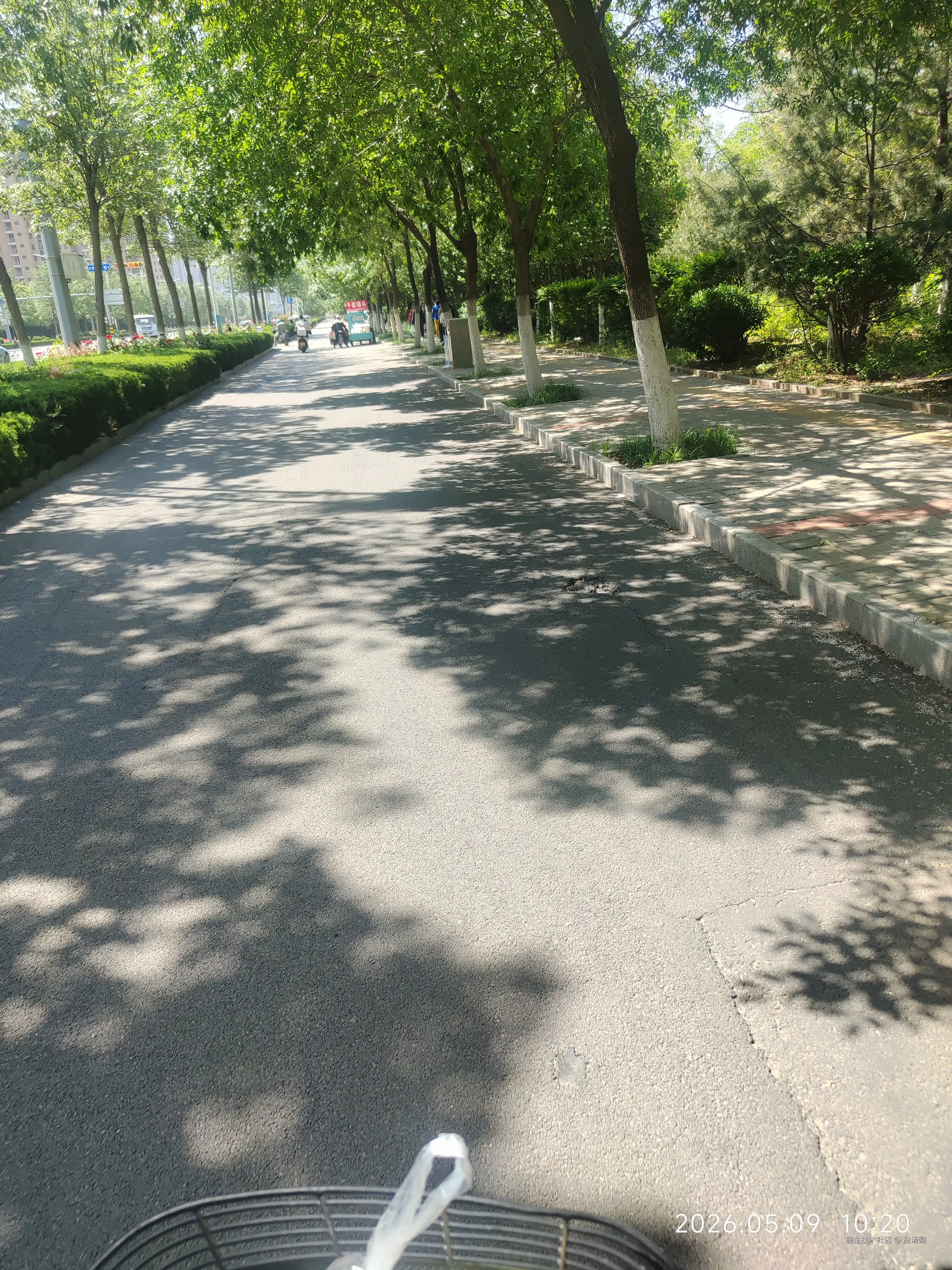 甜汤圆于2026-05-09 10:32发布的图片