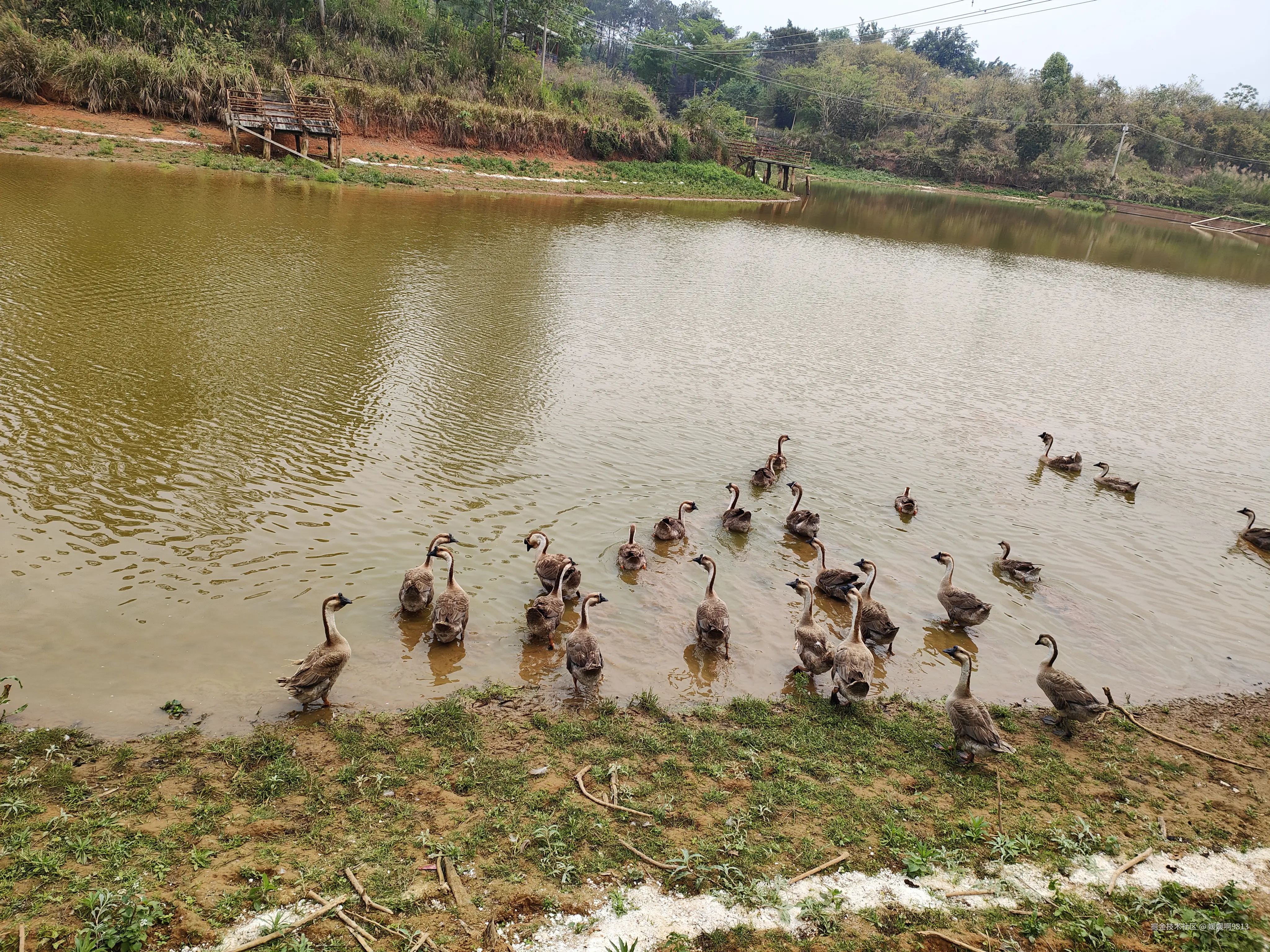 媛媛啊9813于2026-03-28 19:57发布的图片