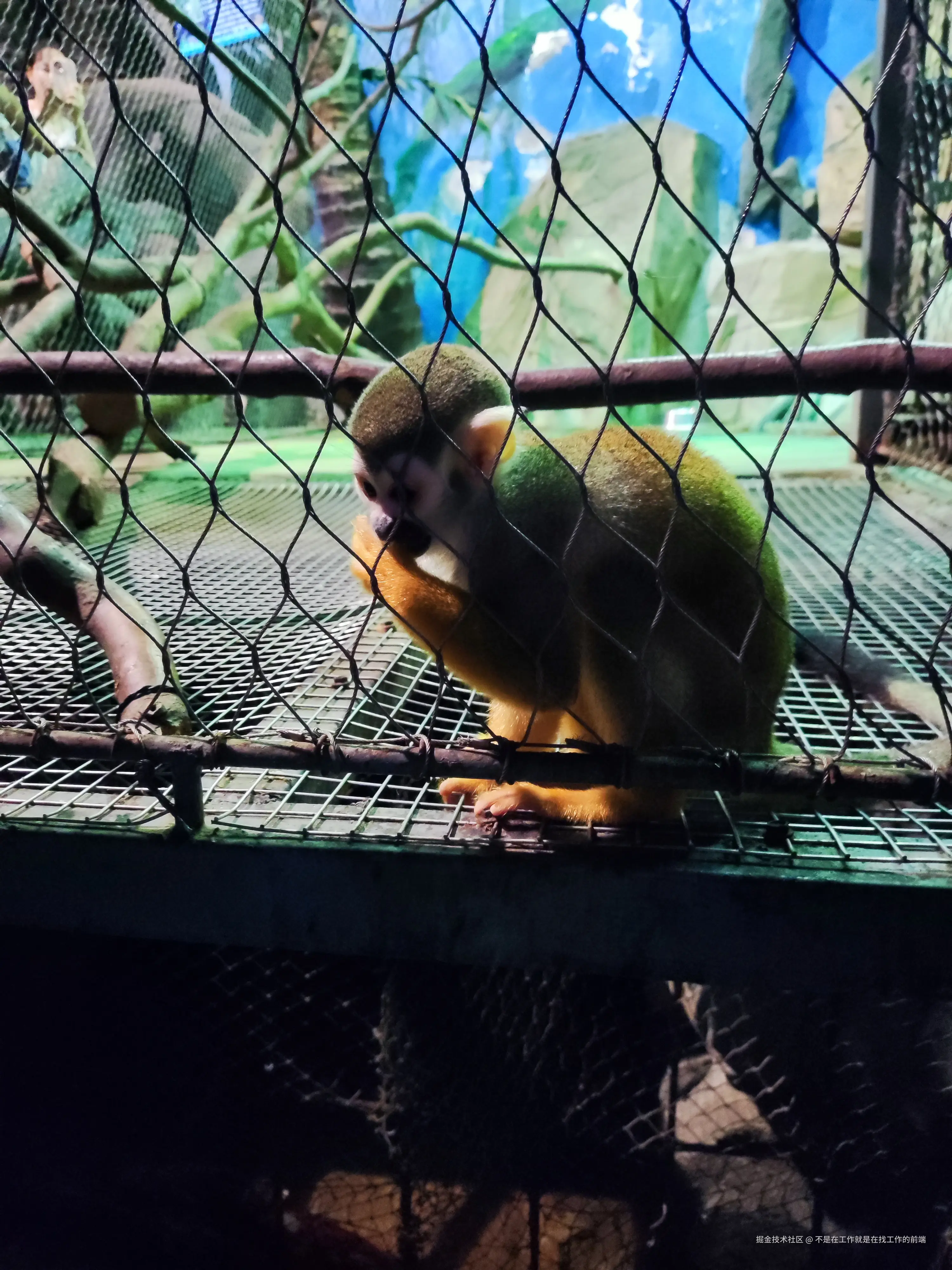 不是在工作就是在找工作的前端于2024-08-12 09:53发布的图片