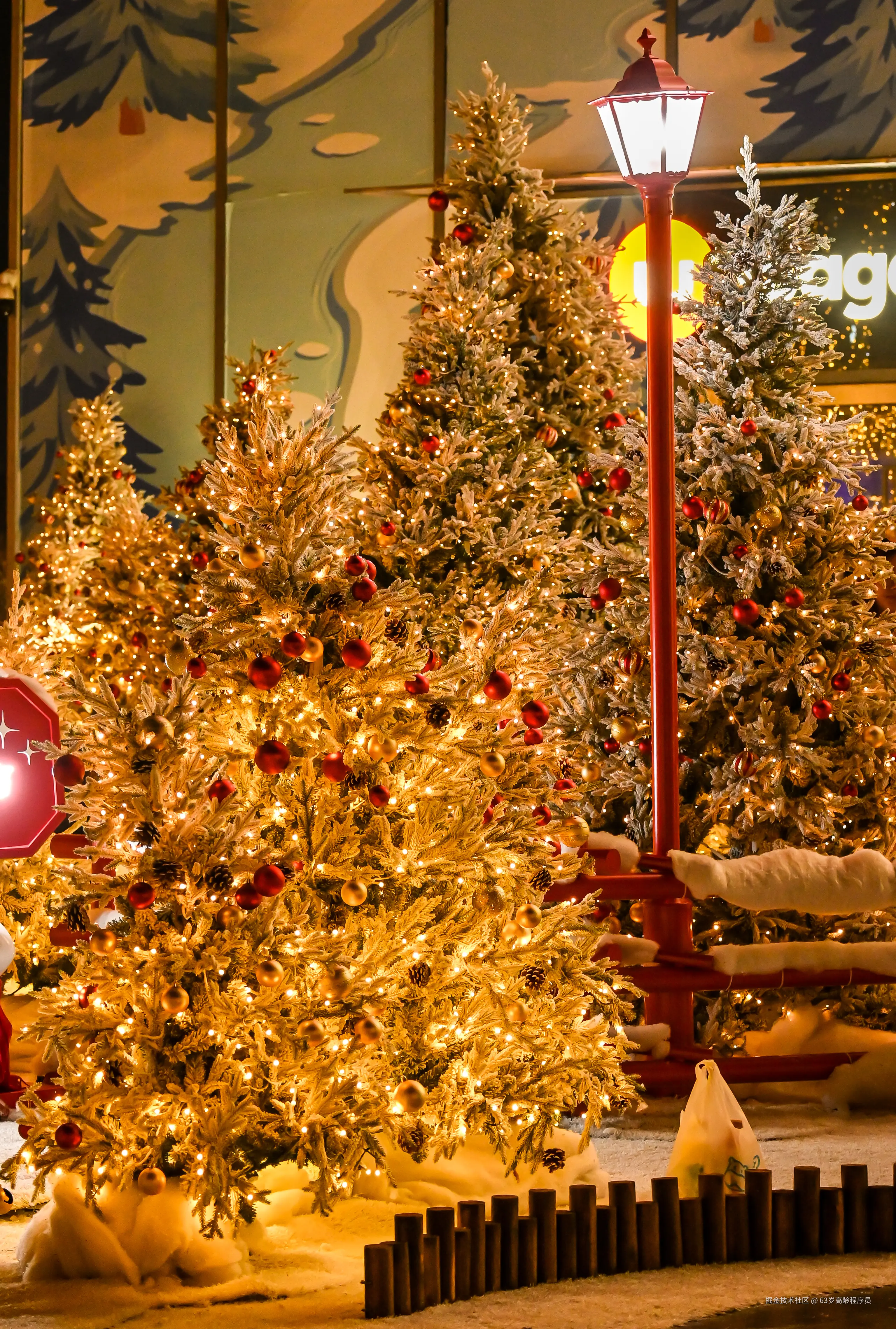 63岁高龄程序员于2025-12-19 09:26发布的图片