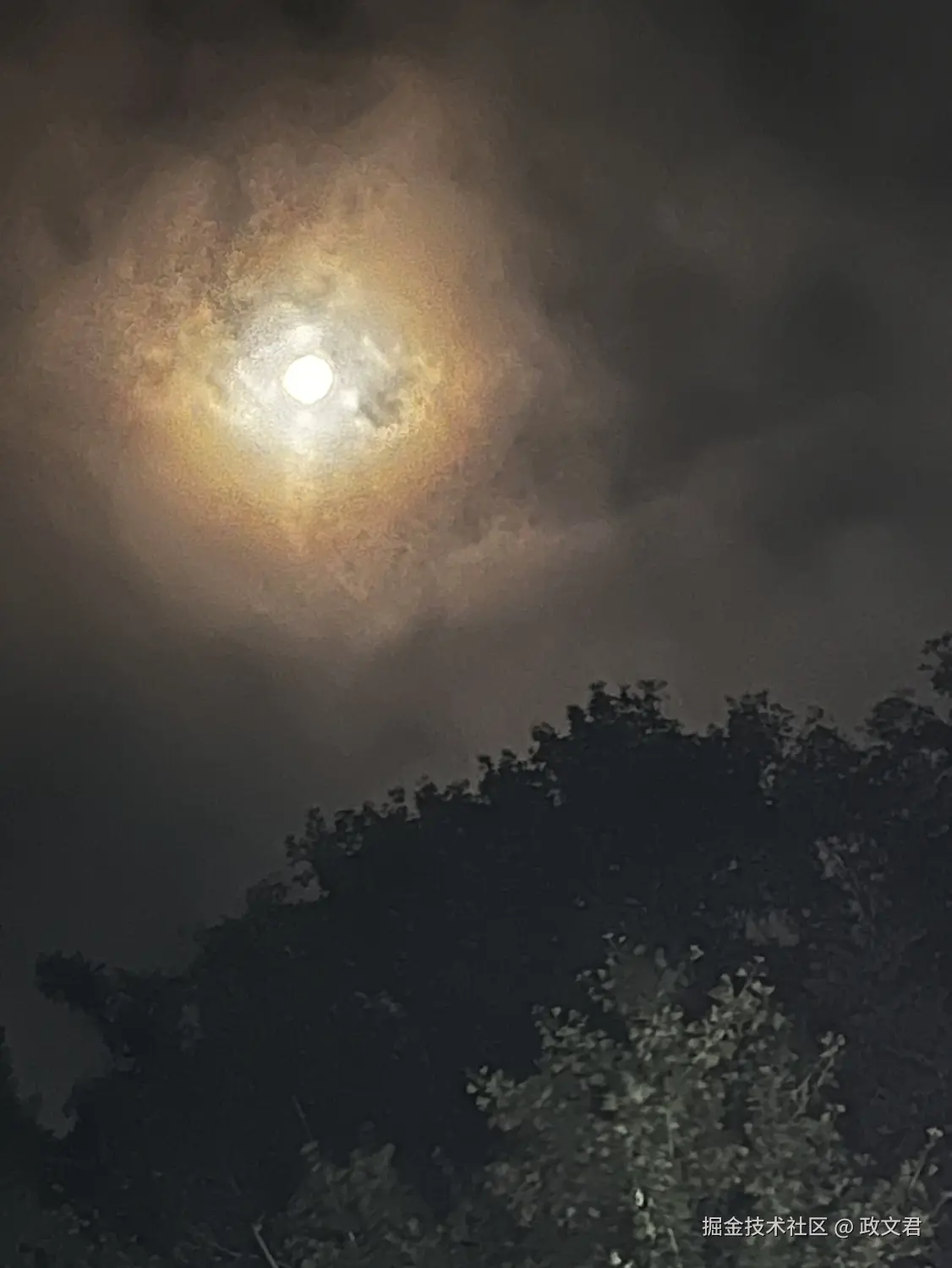 政文君于2024-09-18 19:26发布的图片