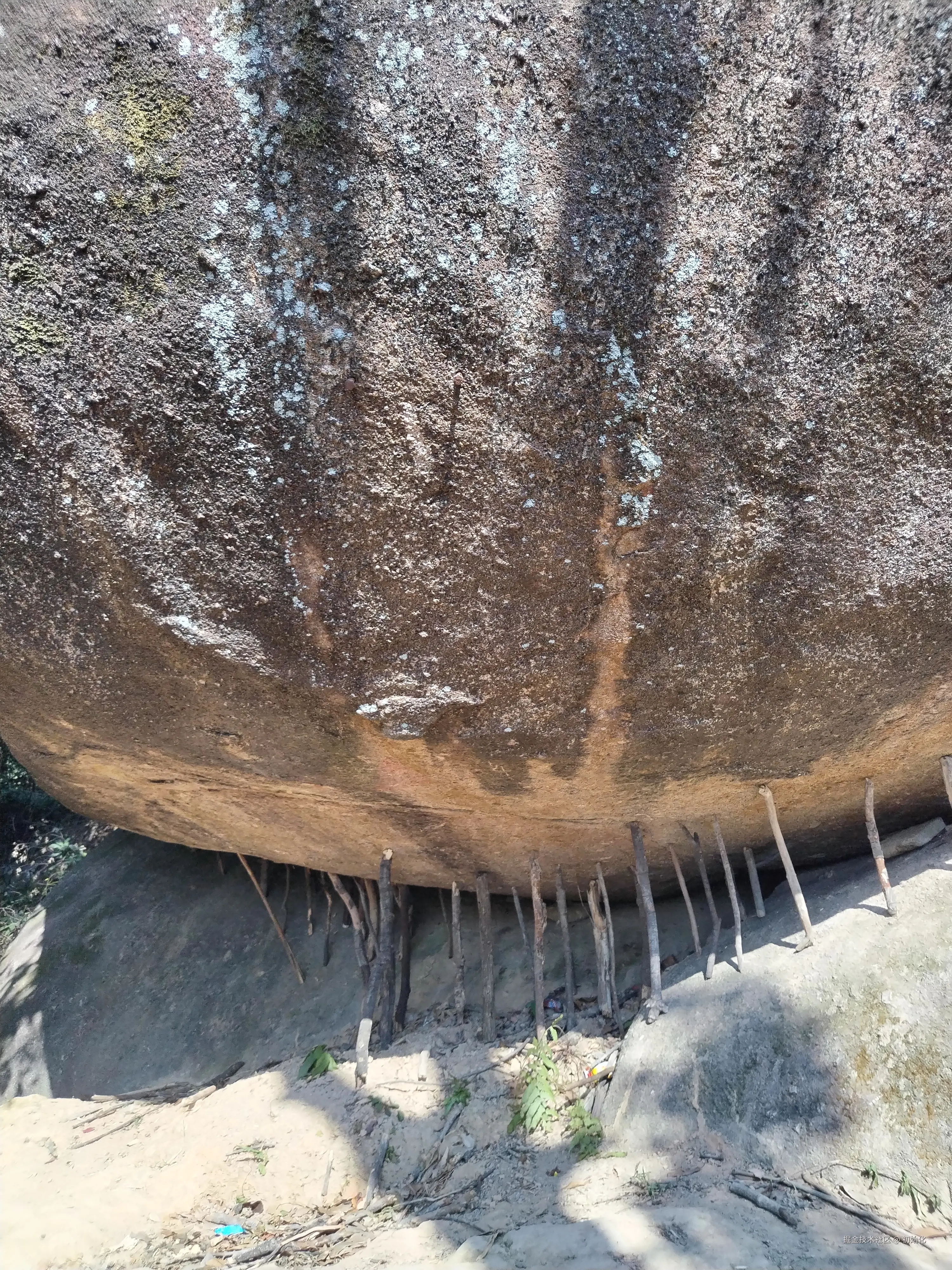 初始化于2025-01-24 08:27发布的图片