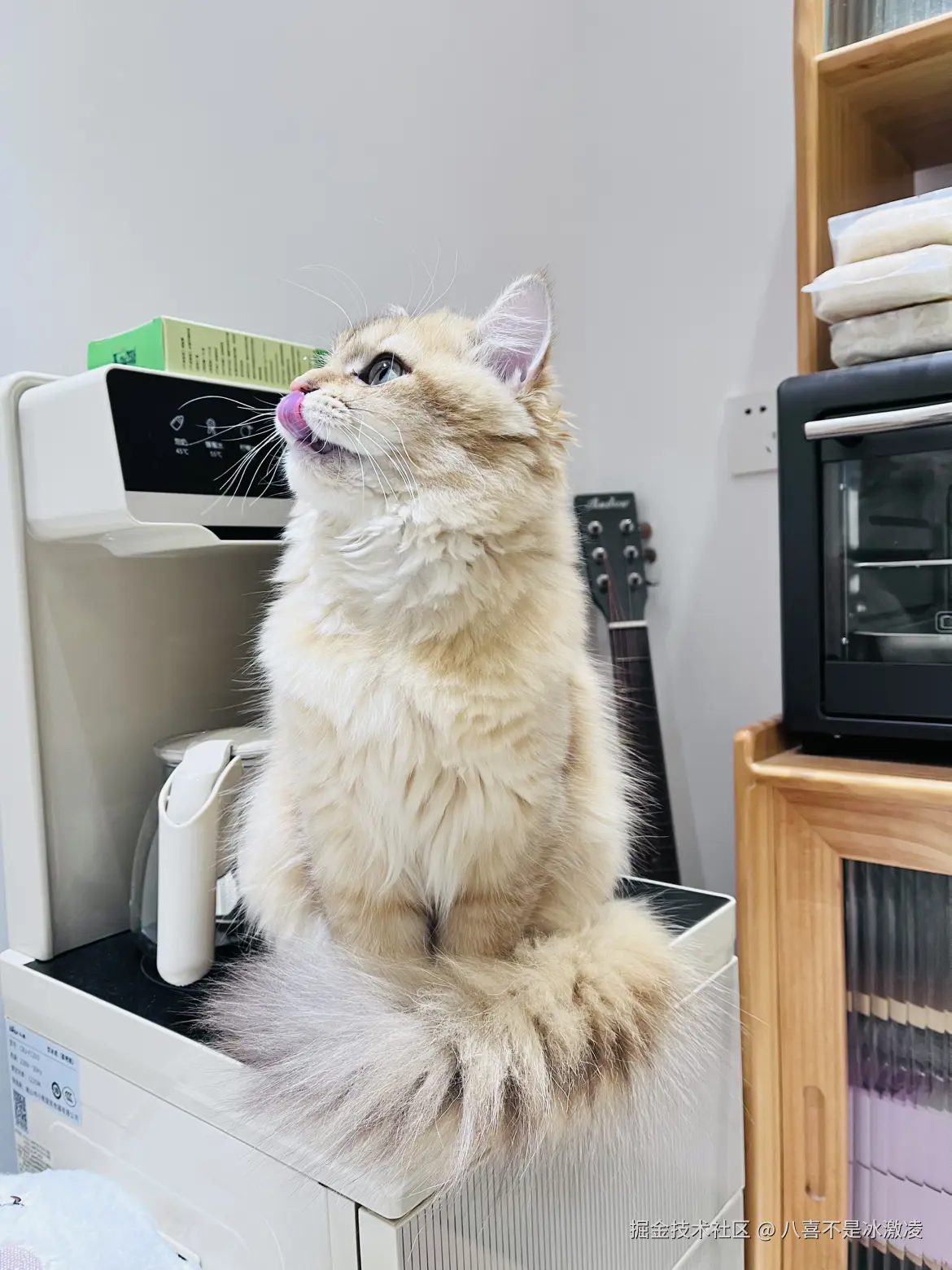 八喜不是冰激凌于2024-12-16 09:05发布的图片