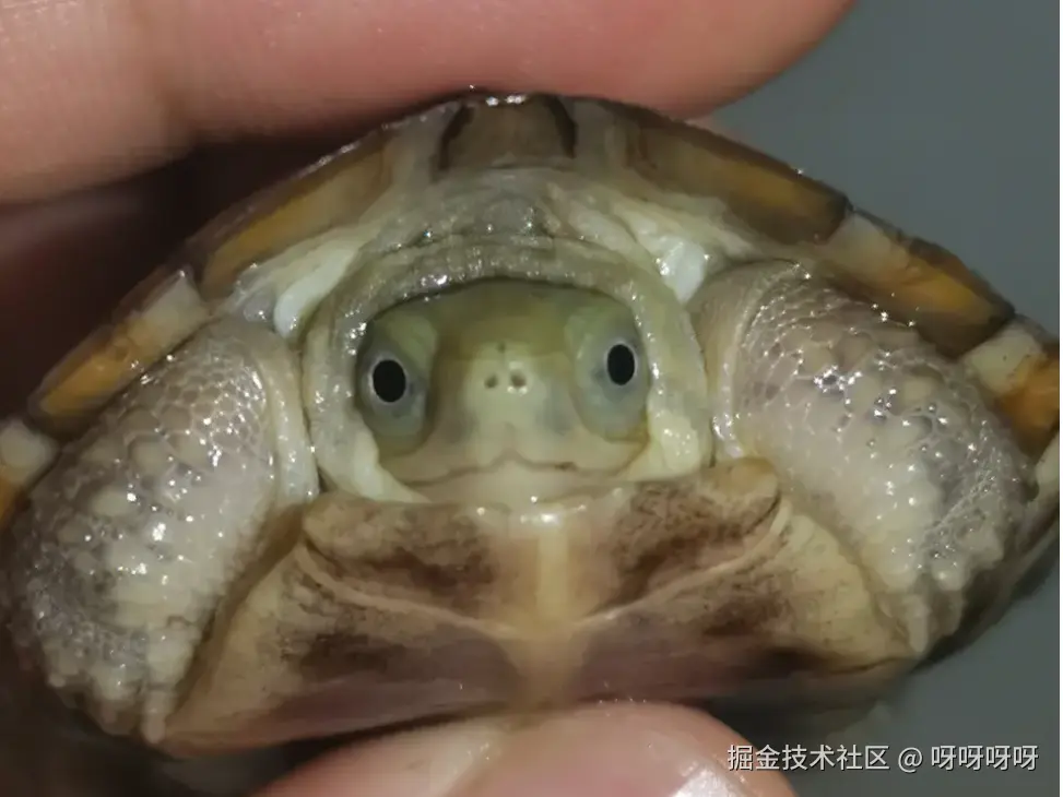 呀呀呀呀于2025-04-25 11:04发布的图片