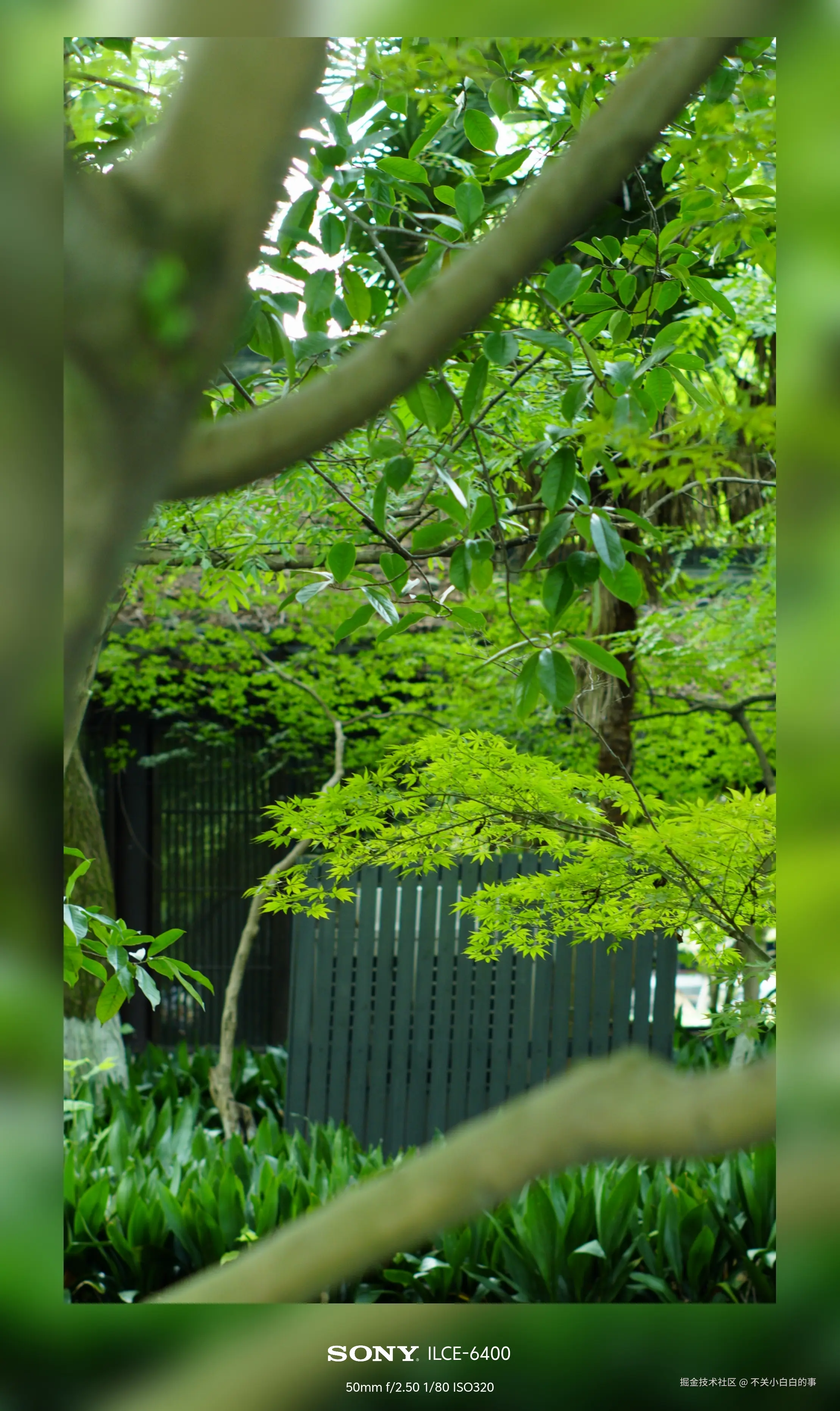 不关小白白的事于2024-10-08 14:03发布的图片