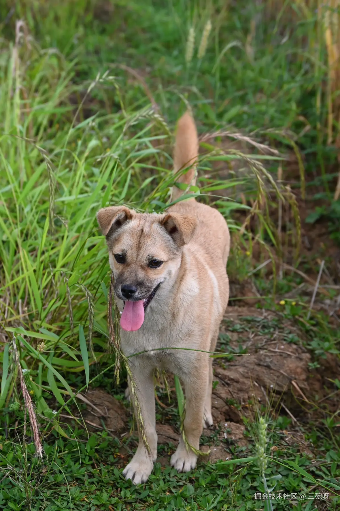 三碗呀于2025-05-12 09:39发布的图片