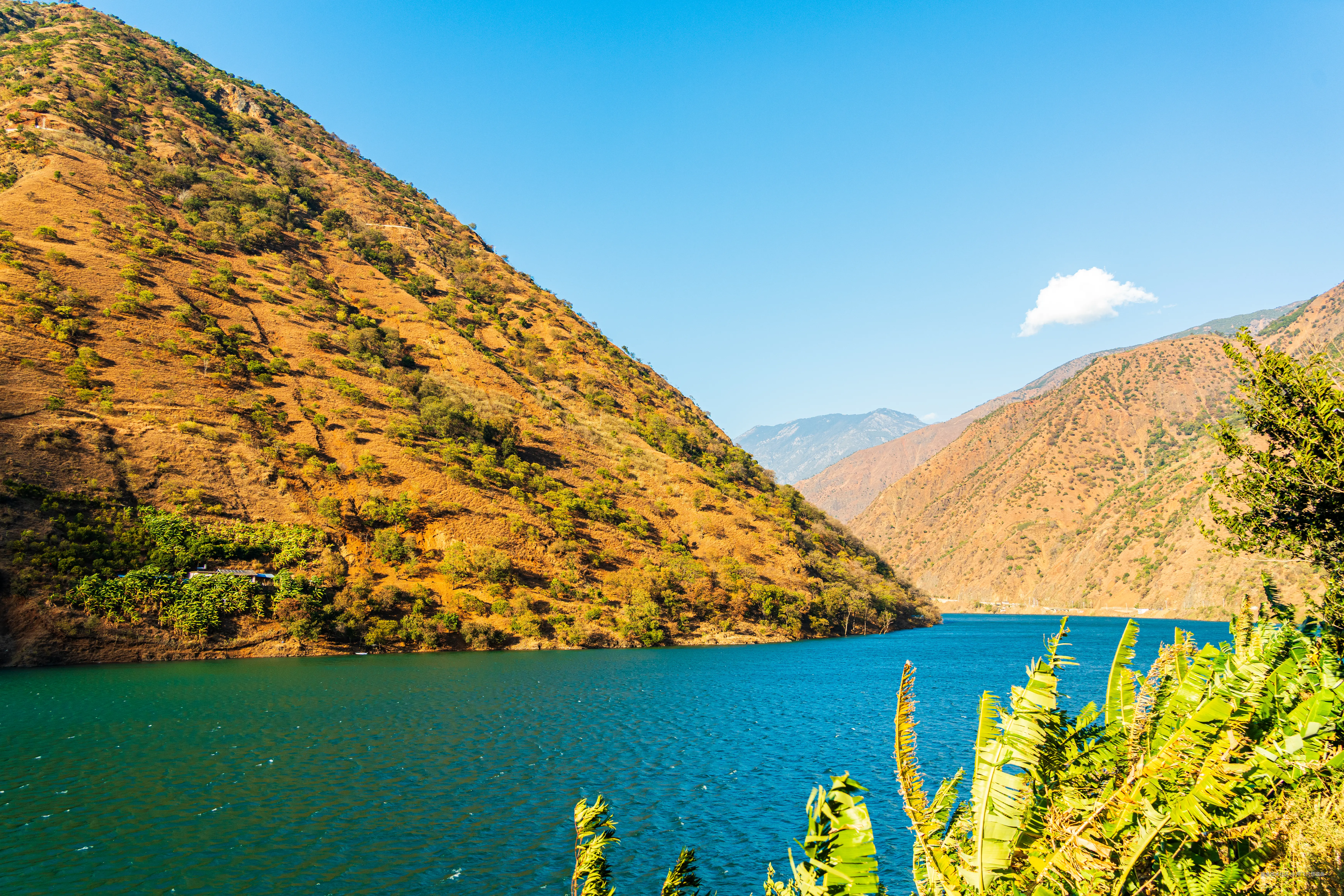 阿飞只想摸鱼于2026-02-11 14:46发布的图片