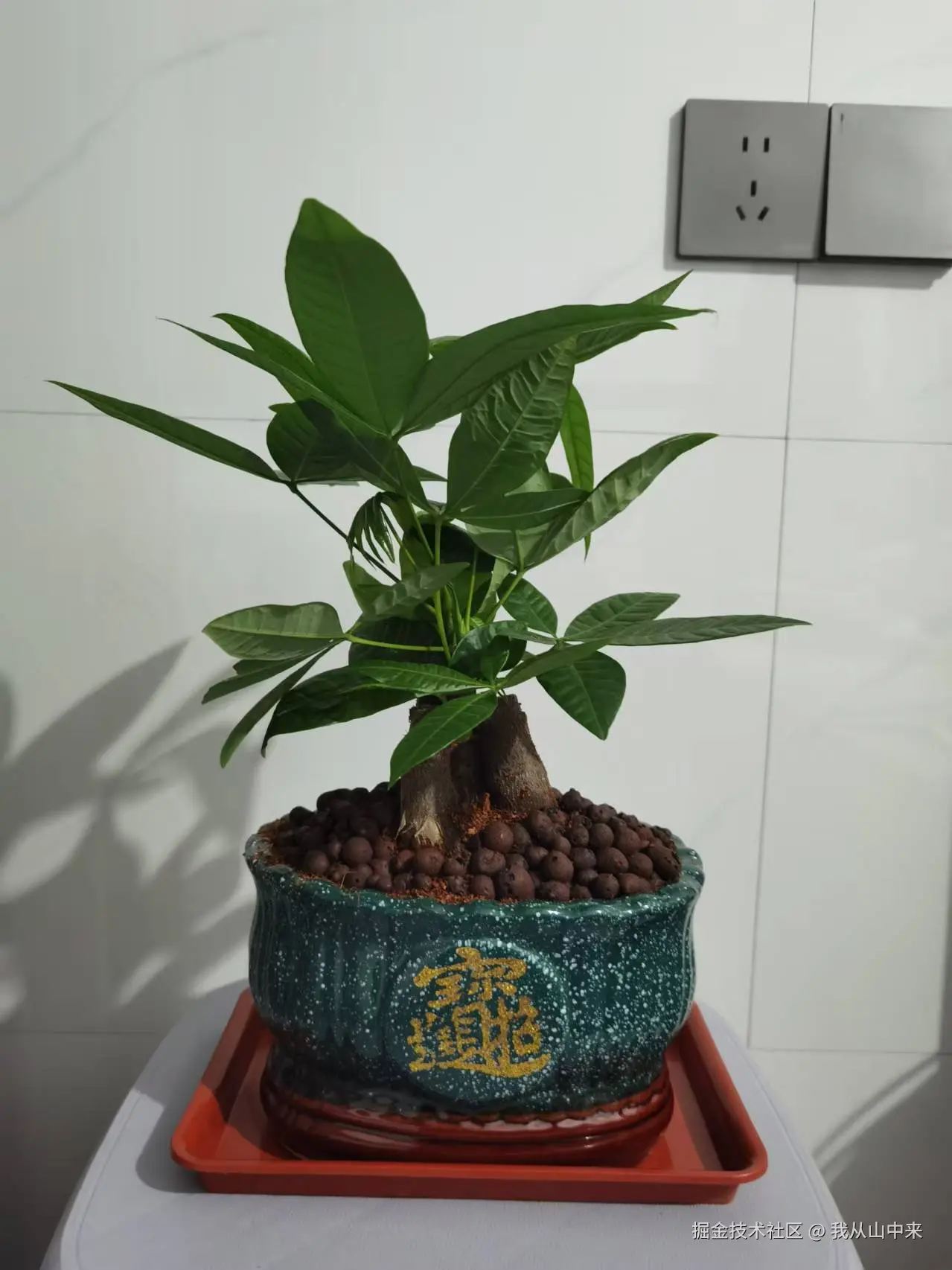 我从山中来于2025-01-24 11:03发布的图片