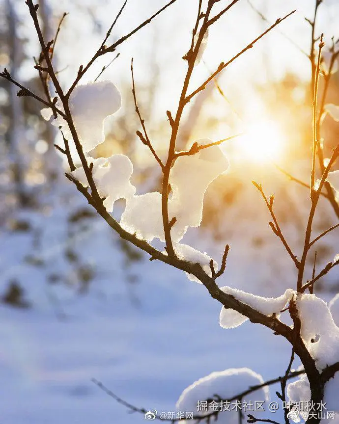 叶知秋水于2024-11-28 12:55发布的图片