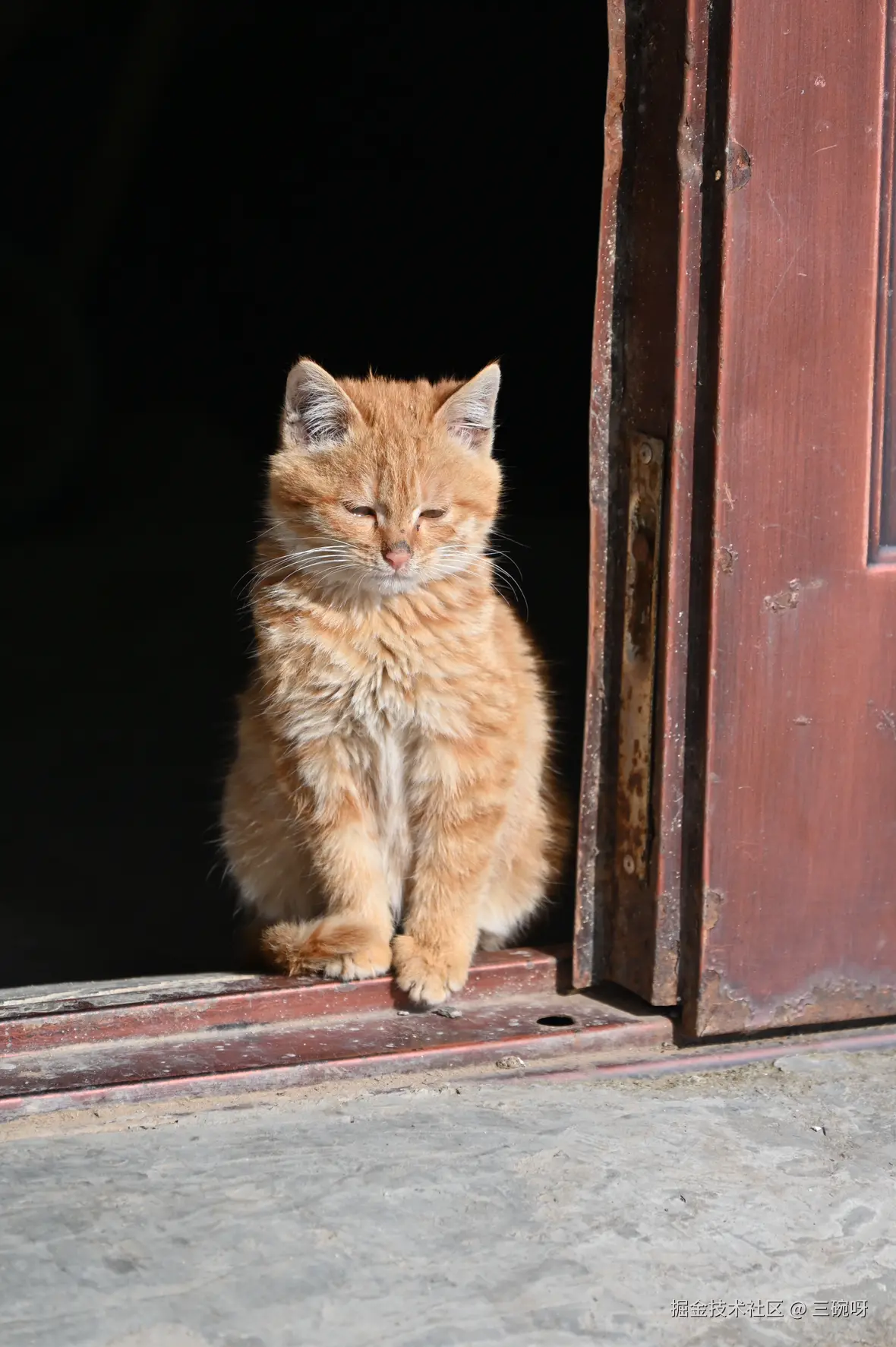 三碗呀于2025-01-13 16:23发布的图片