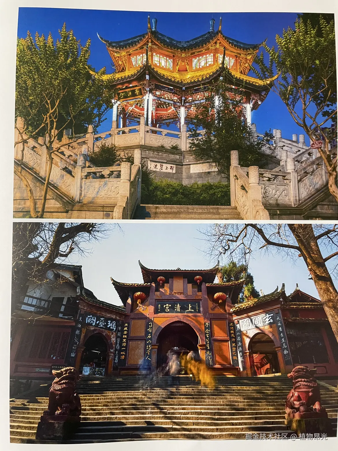 植物昂光于2026-04-05 16:42发布的图片