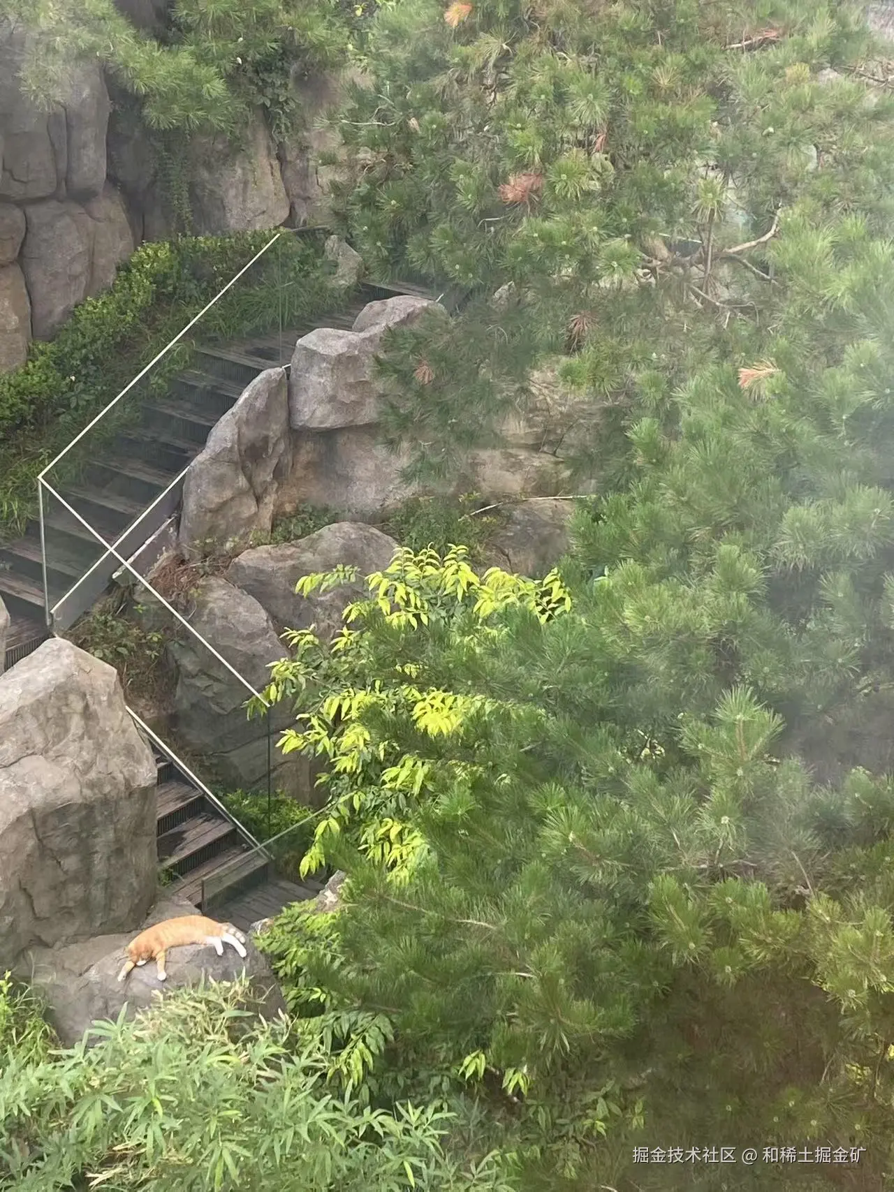 和稀土掘金矿于2025-07-30 15:19发布的图片