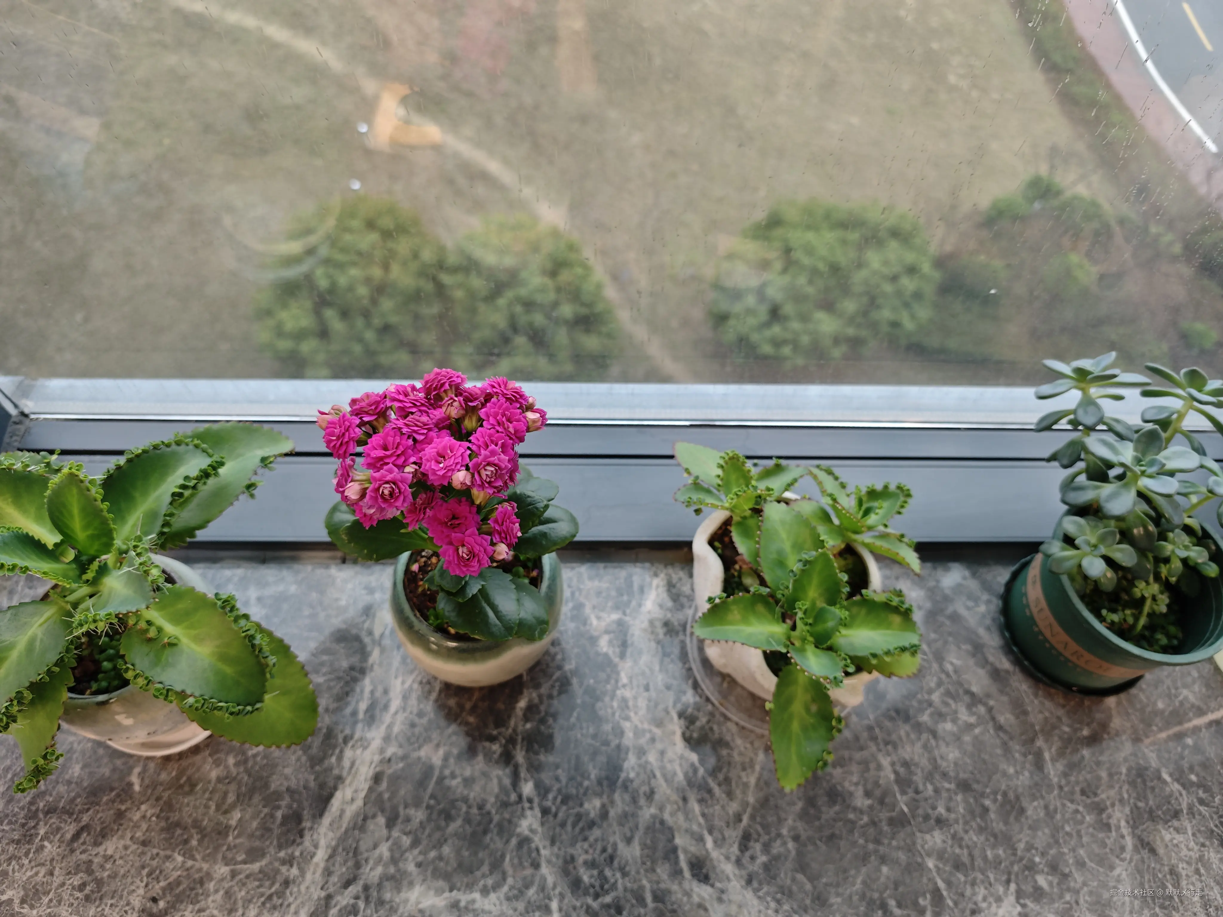 默默乄行走于2025-03-14 09:37发布的图片