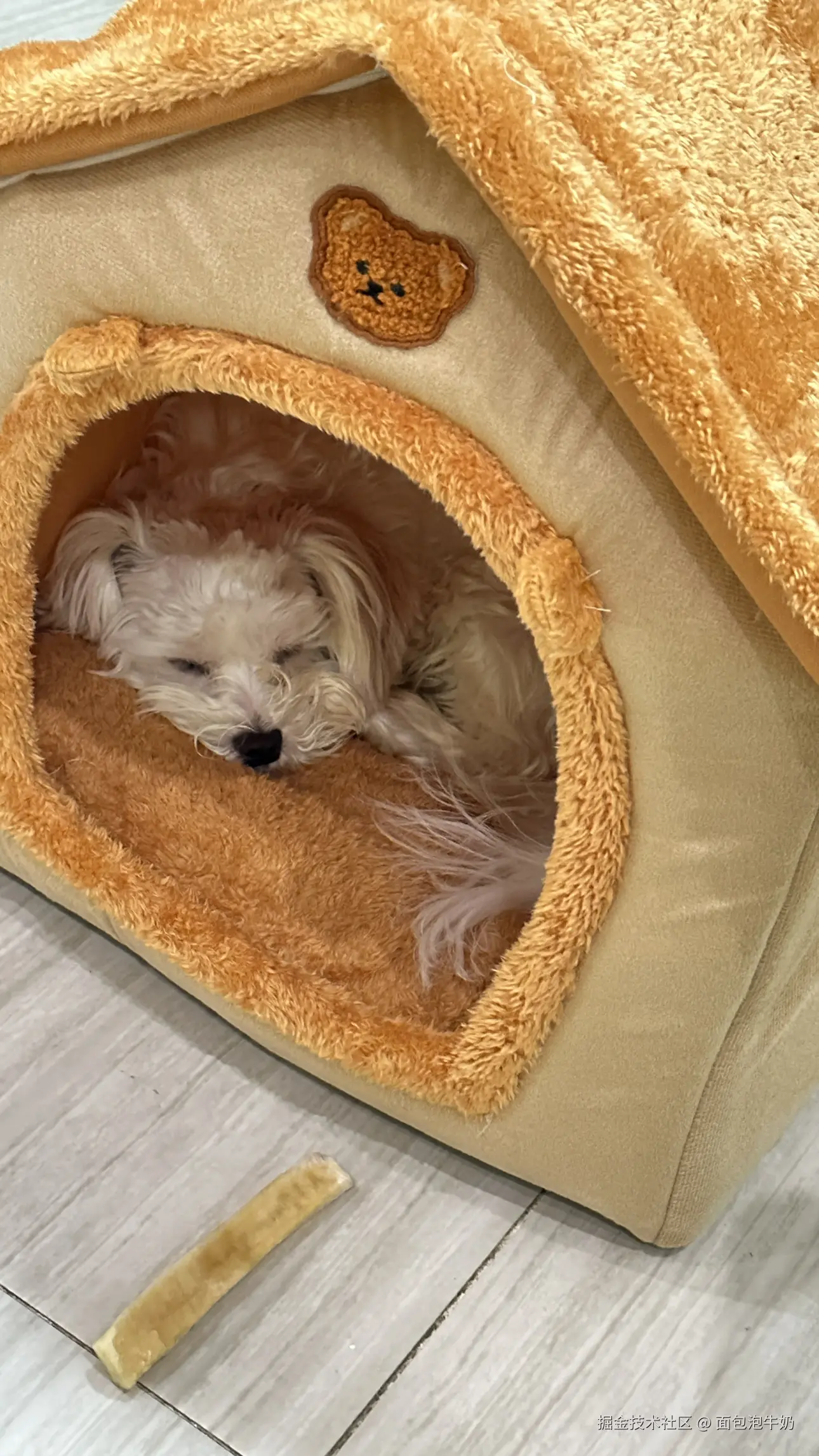 面包泡牛奶于2026-01-01 17:34发布的图片