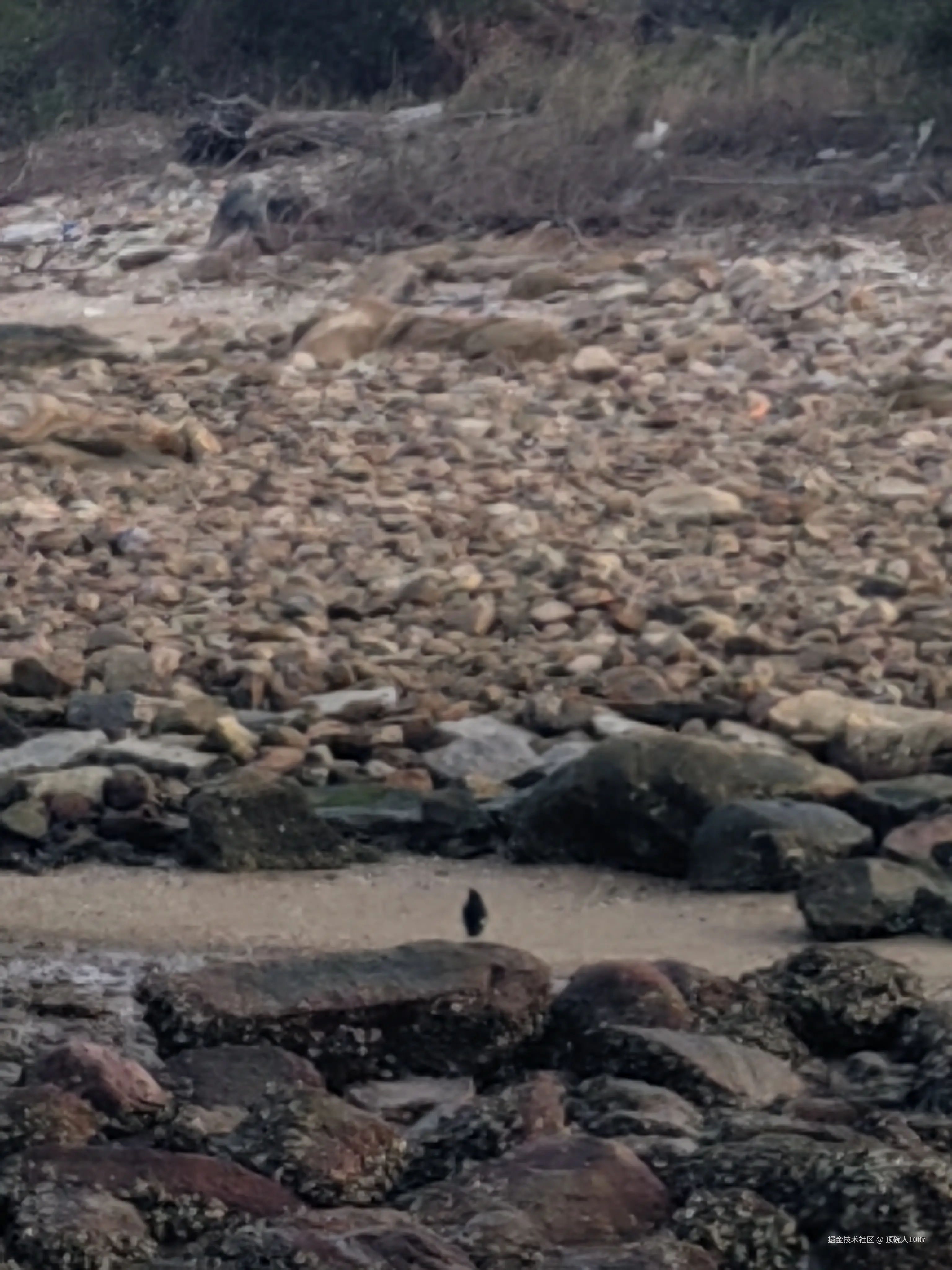 顶碗人1007于2025-02-04 00:08发布的图片