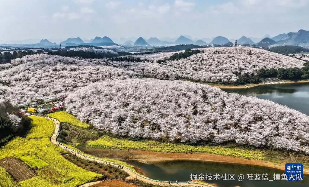 哇蓝蓝_摸鱼大队于2026-03-13 17:11发布的图片