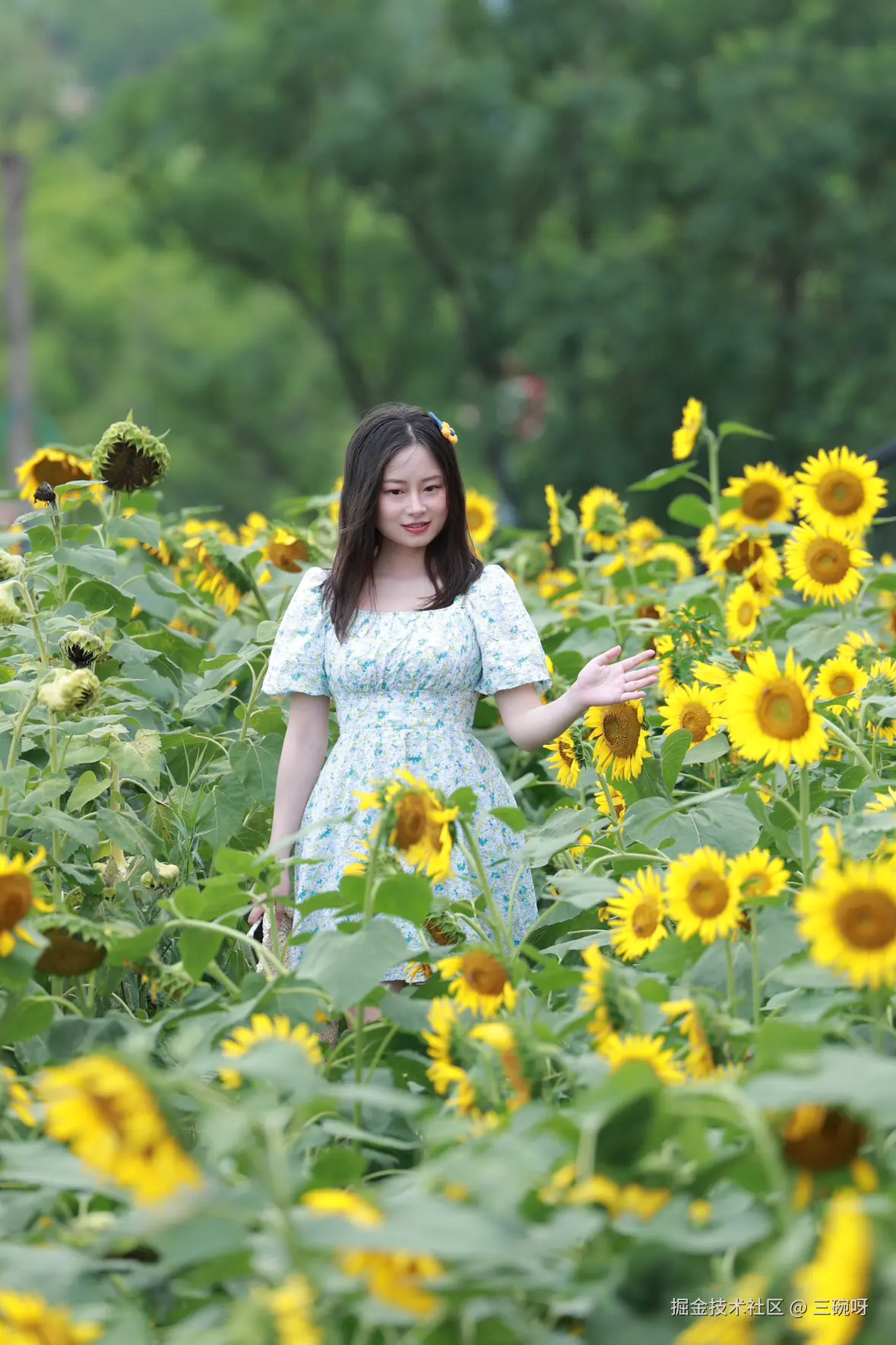 三碗呀于2025-07-09 10:10发布的图片