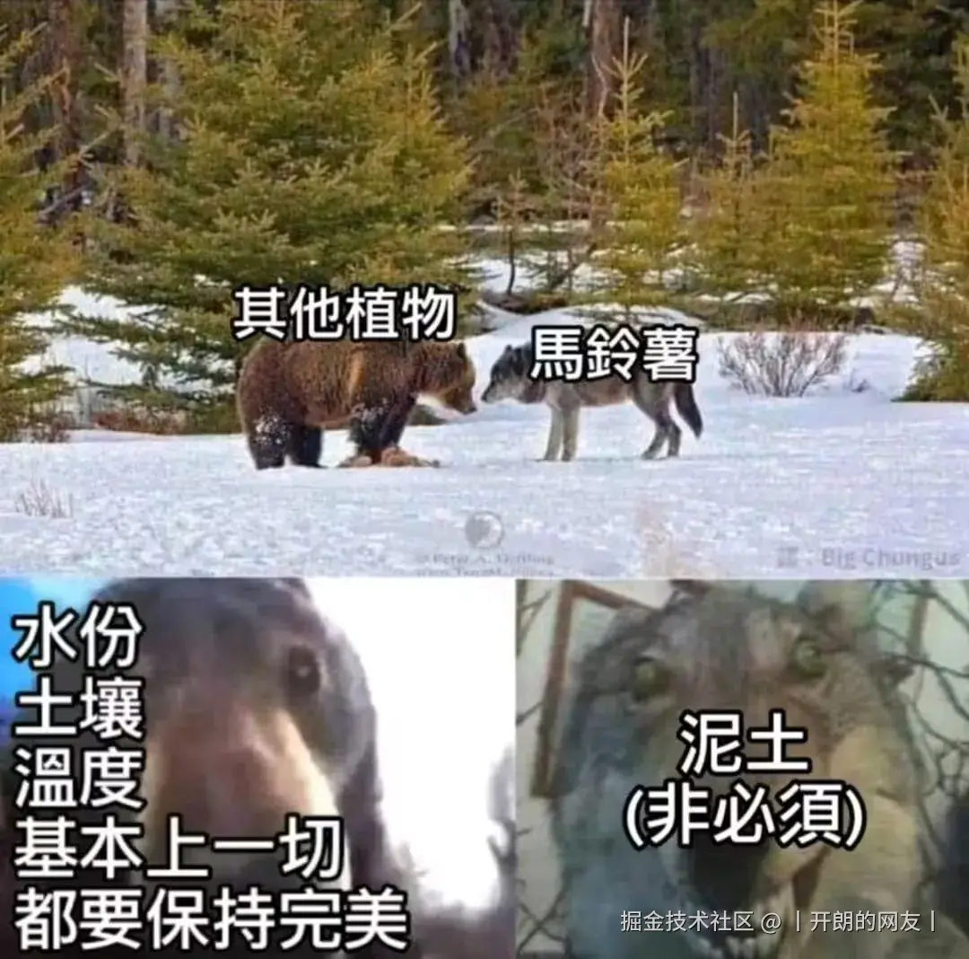 丨开朗的网友丨于2025-05-08 14:52发布的图片