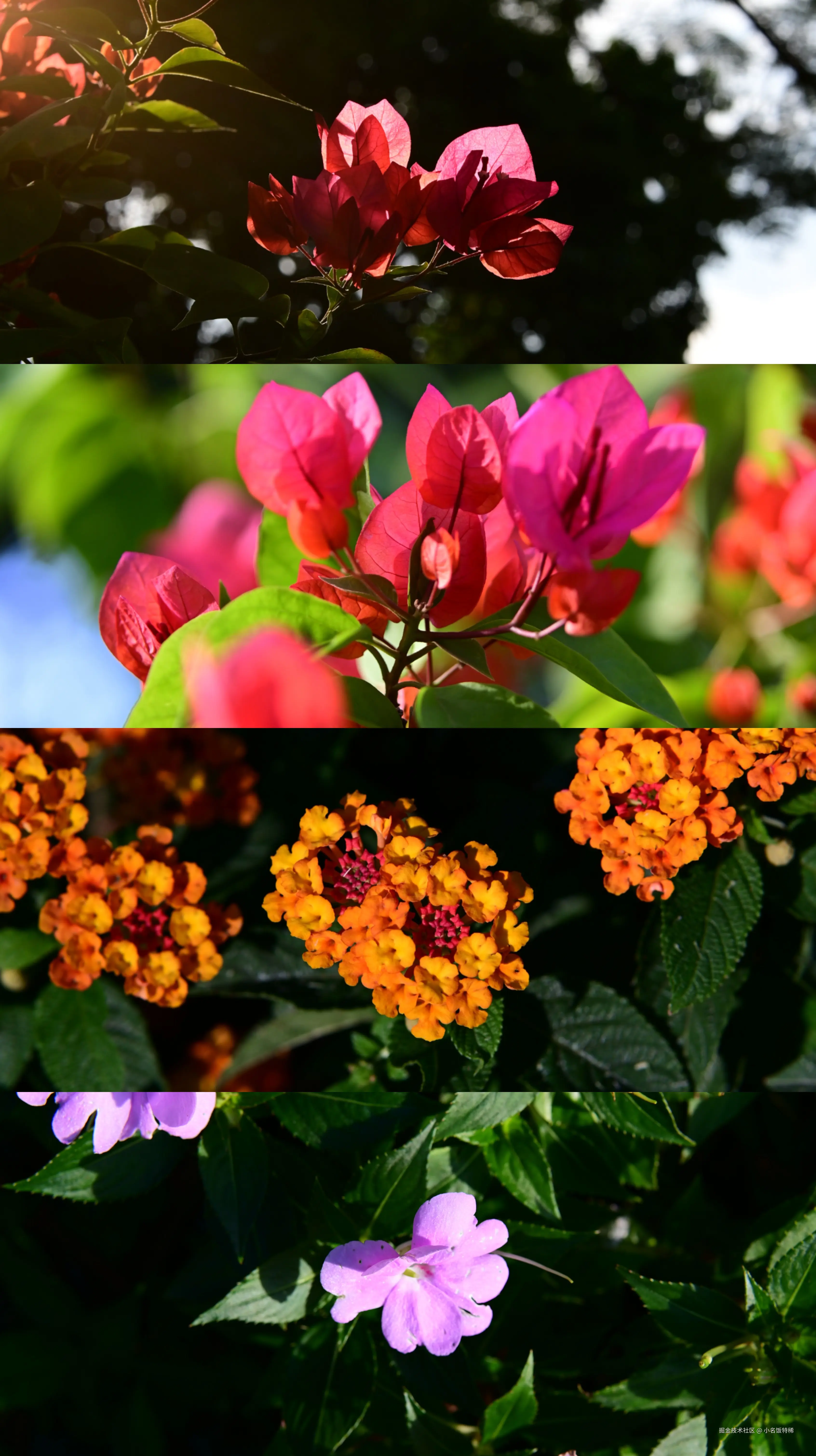 小名饭特稀于2025-11-24 09:42发布的图片