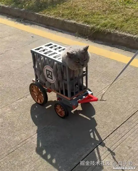 白手套于2026-01-11 15:43发布的图片