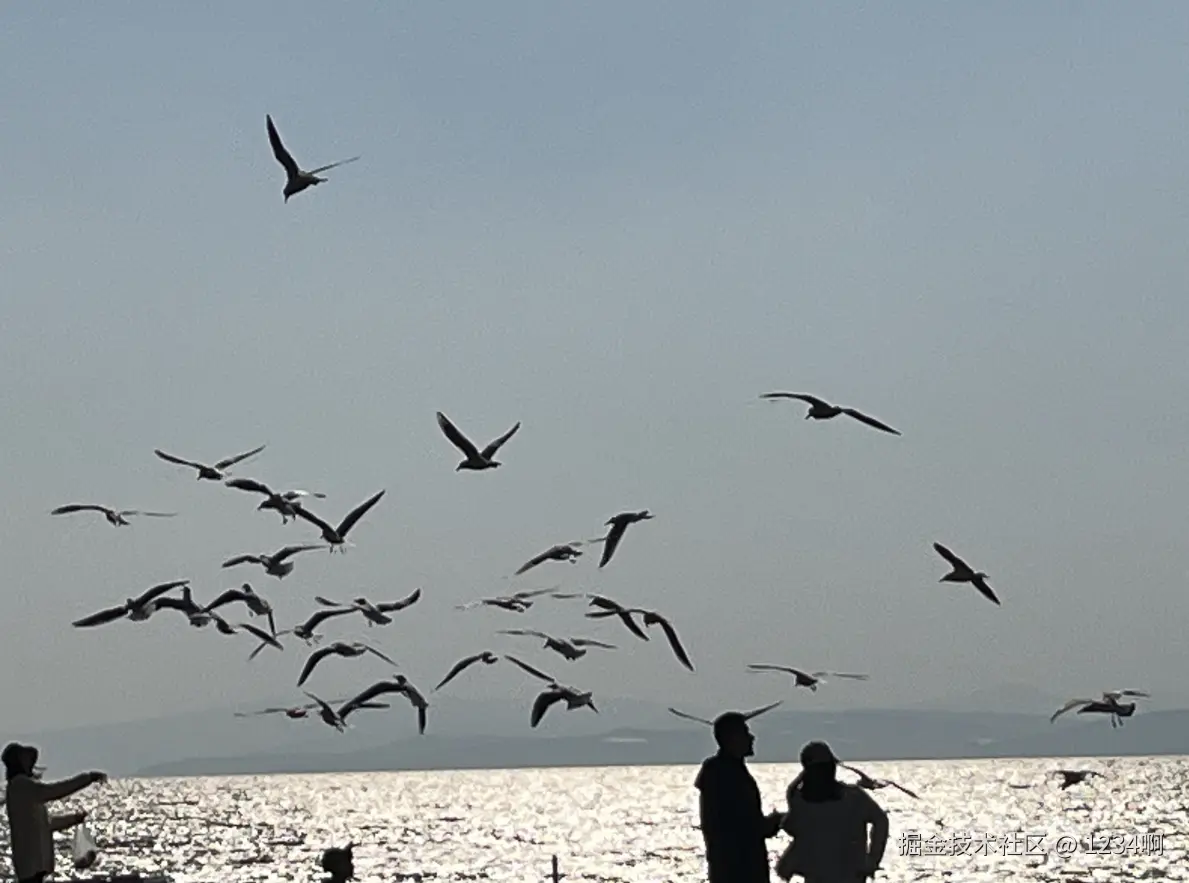 1234啊于2025-04-17 20:14发布的图片