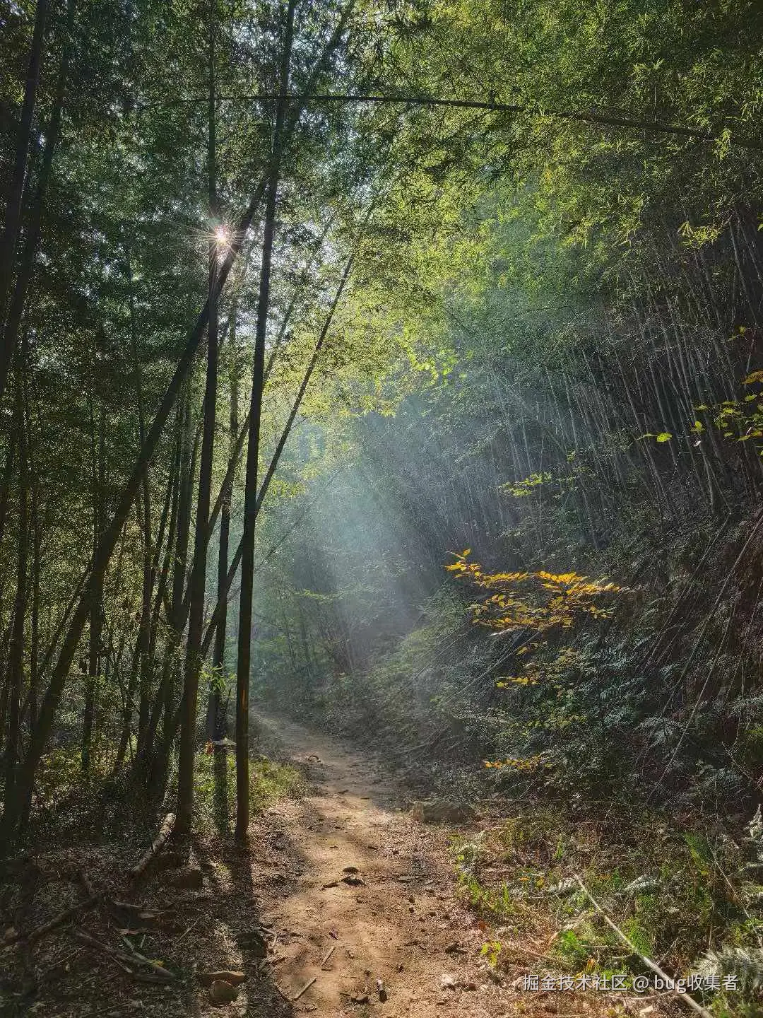 bug收集者于2025-11-24 11:04发布的图片
