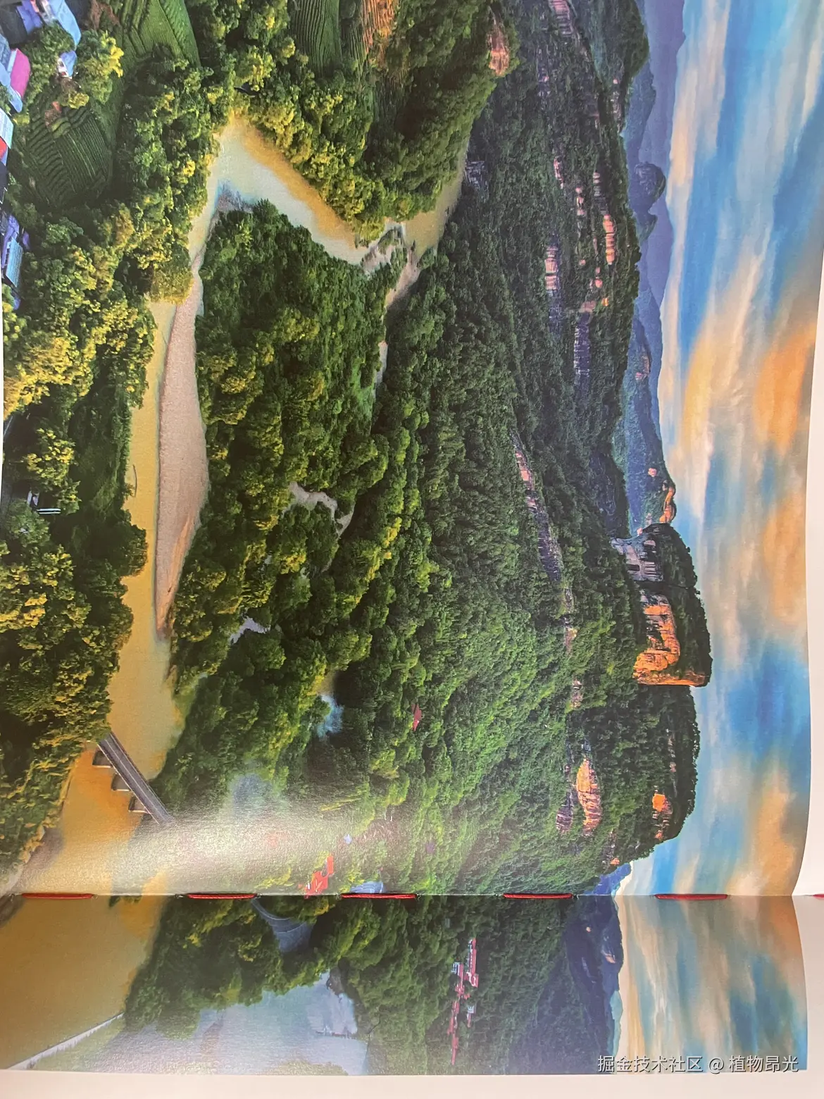 植物昂光于2026-04-19 14:01发布的图片