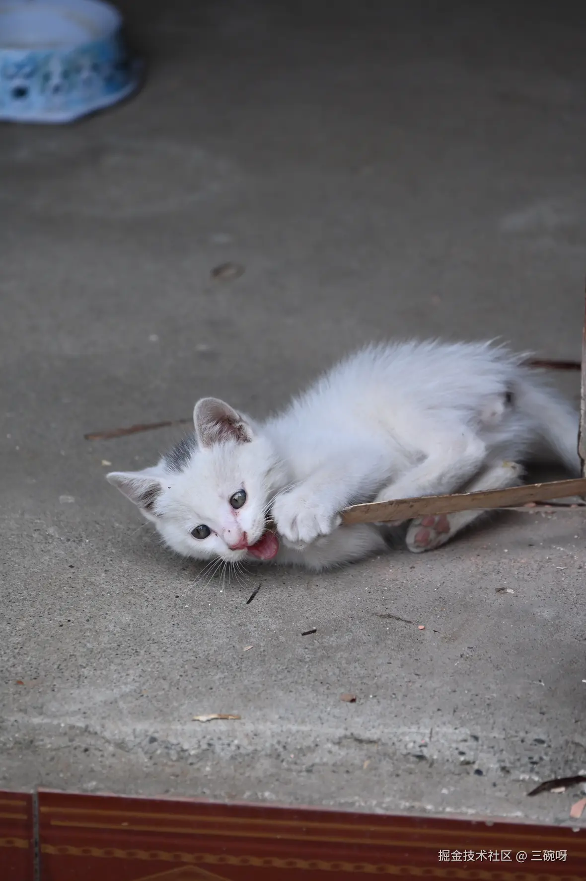 三碗呀于2025-06-03 10:05发布的图片