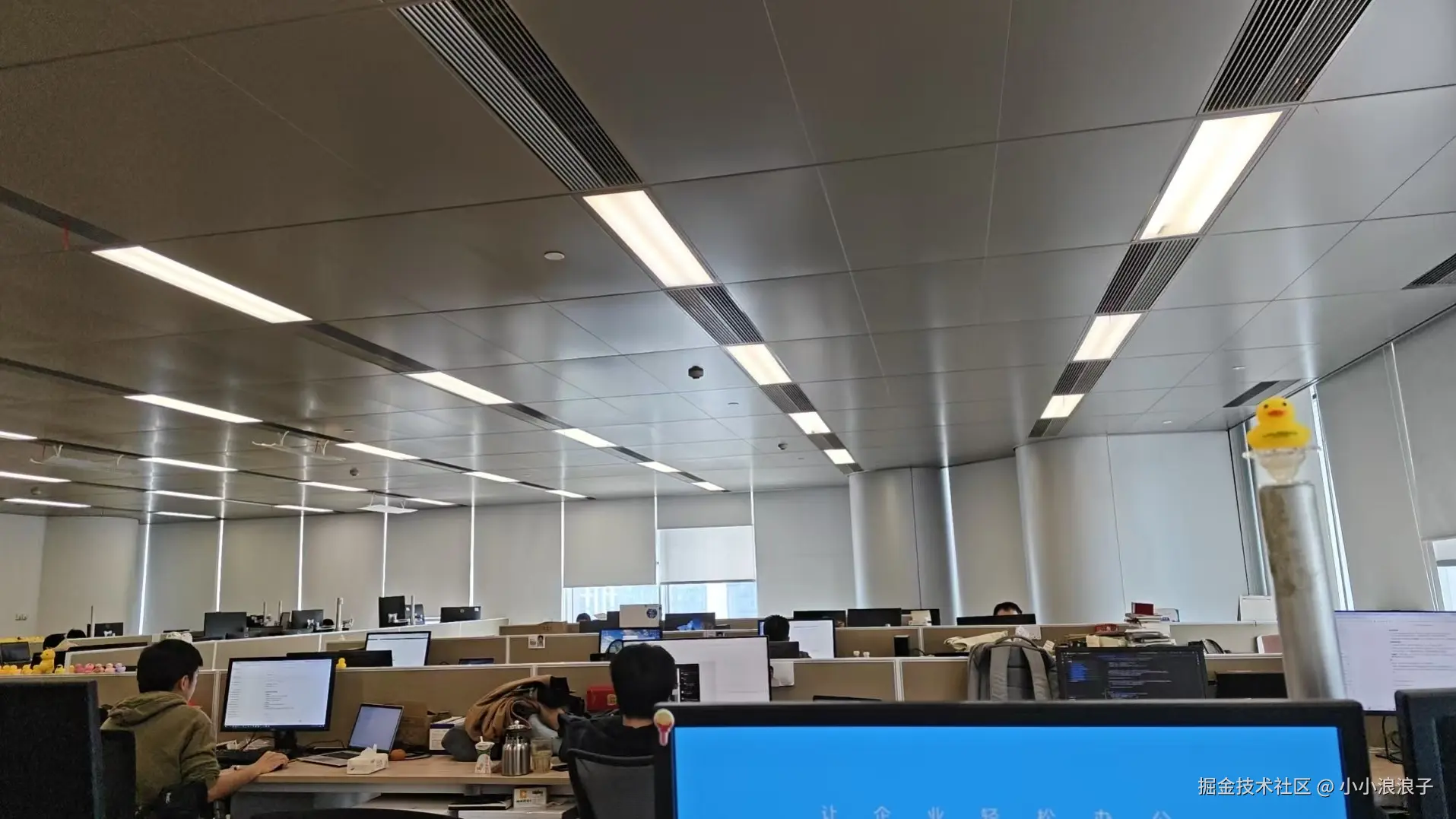 小小浪浪子于2026-02-13 14:03发布的图片