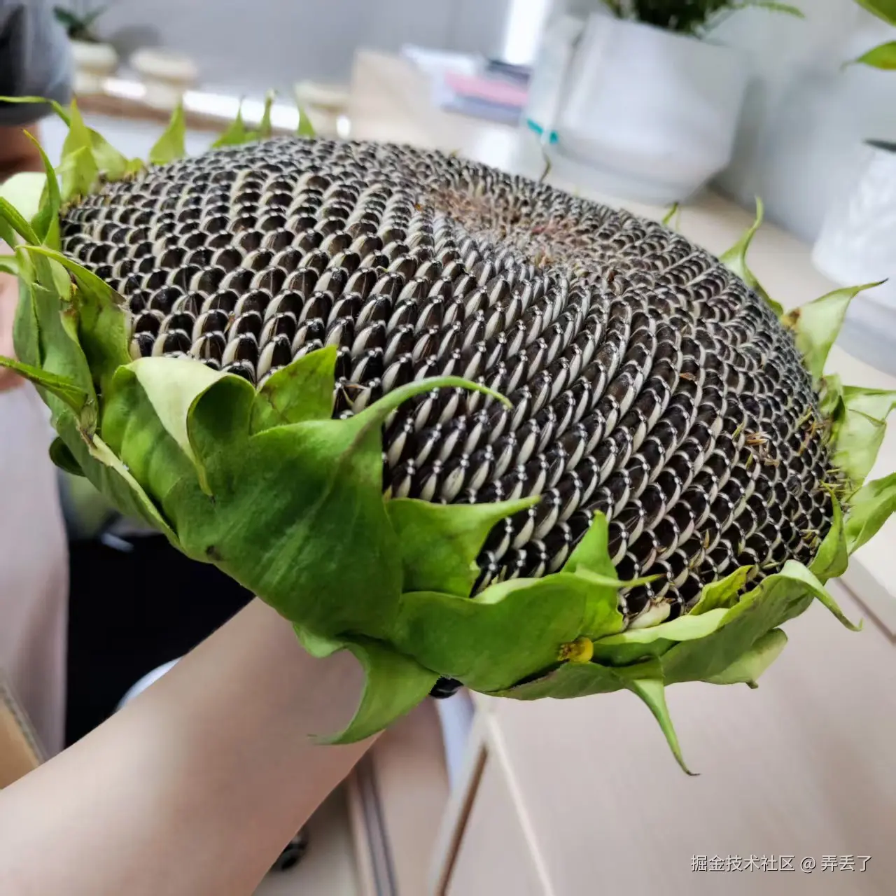 弄丢了于2025-07-15 09:33发布的图片