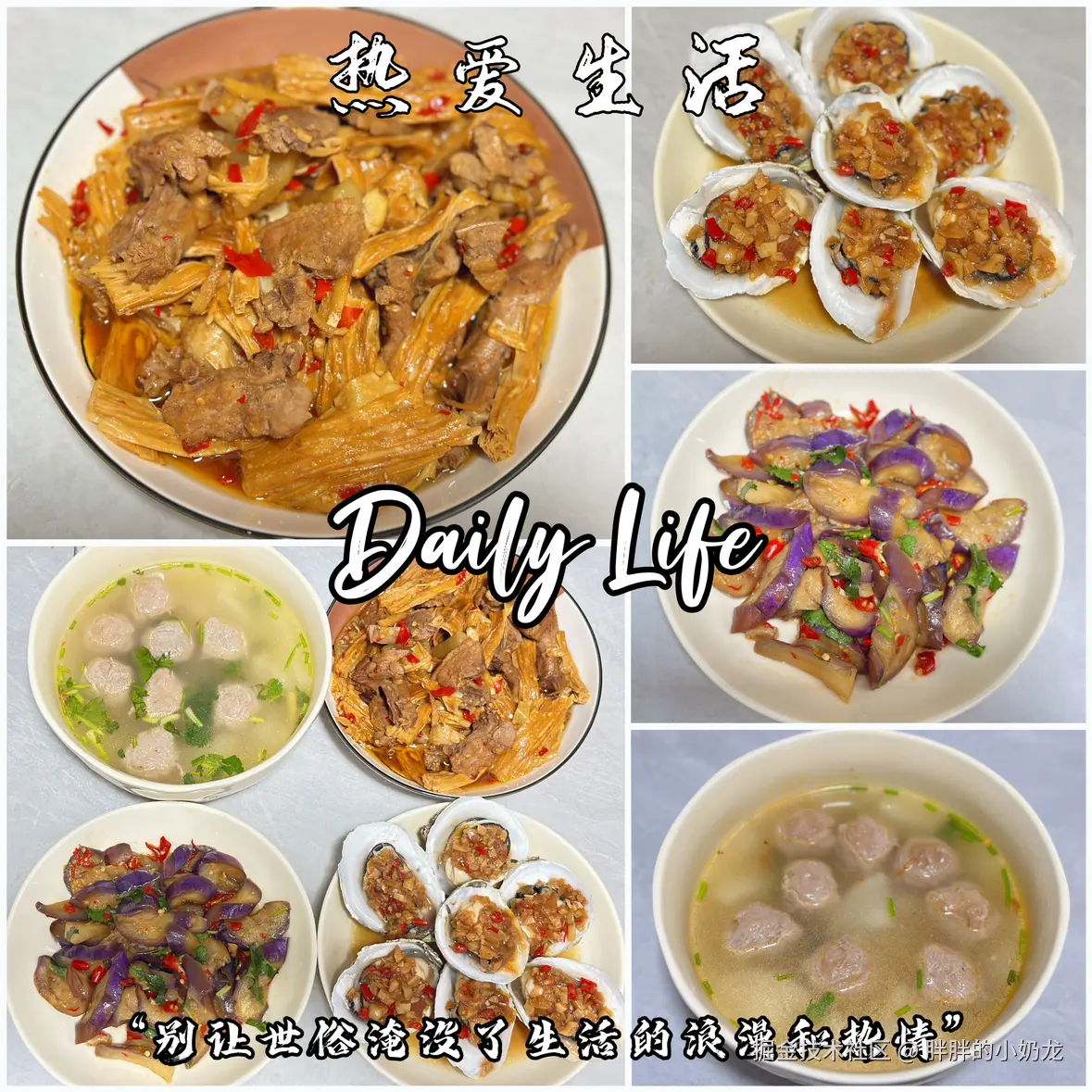 胖胖的小奶龙于2024-12-04 23:54发布的图片