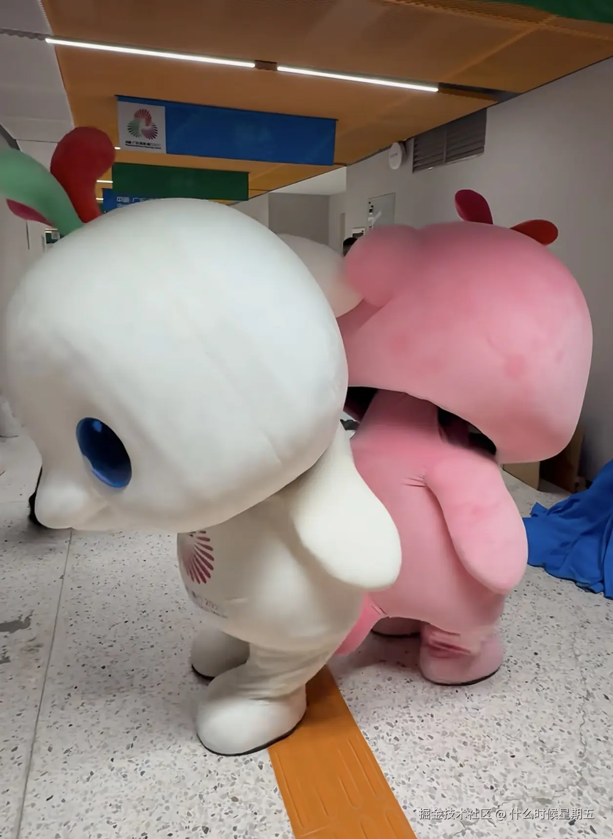 什么时候星期五于2025-11-11 16:35发布的图片